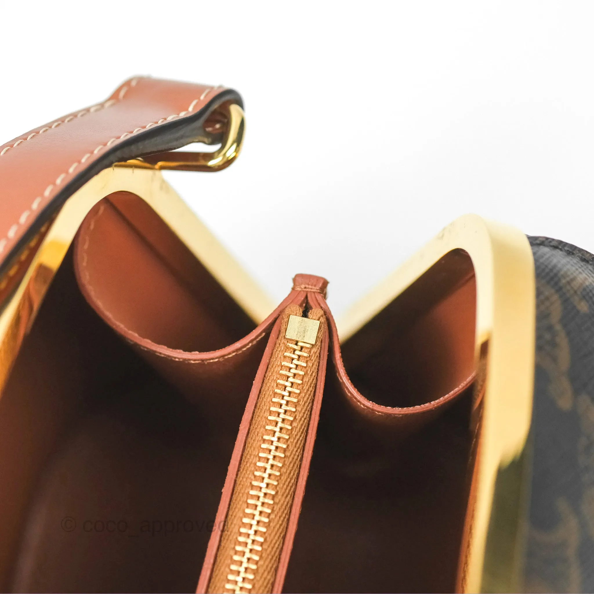 Celine Lunch Box Bag Triomphe Canvas Tan