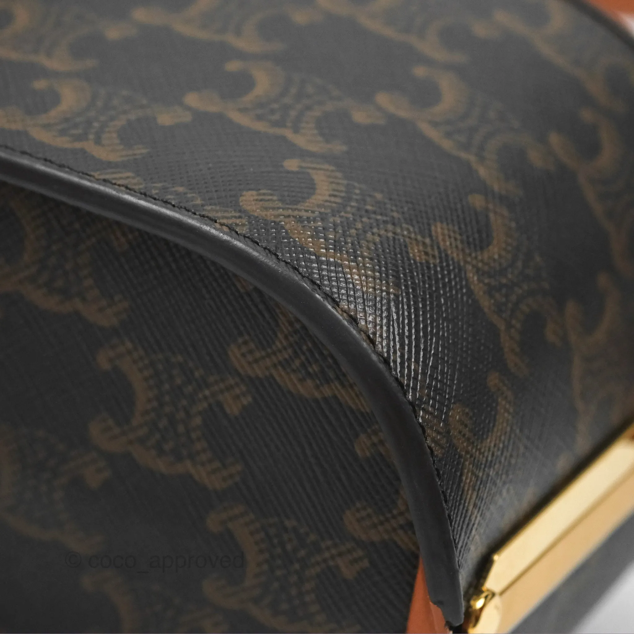 Celine Lunch Box Bag Triomphe Canvas Tan