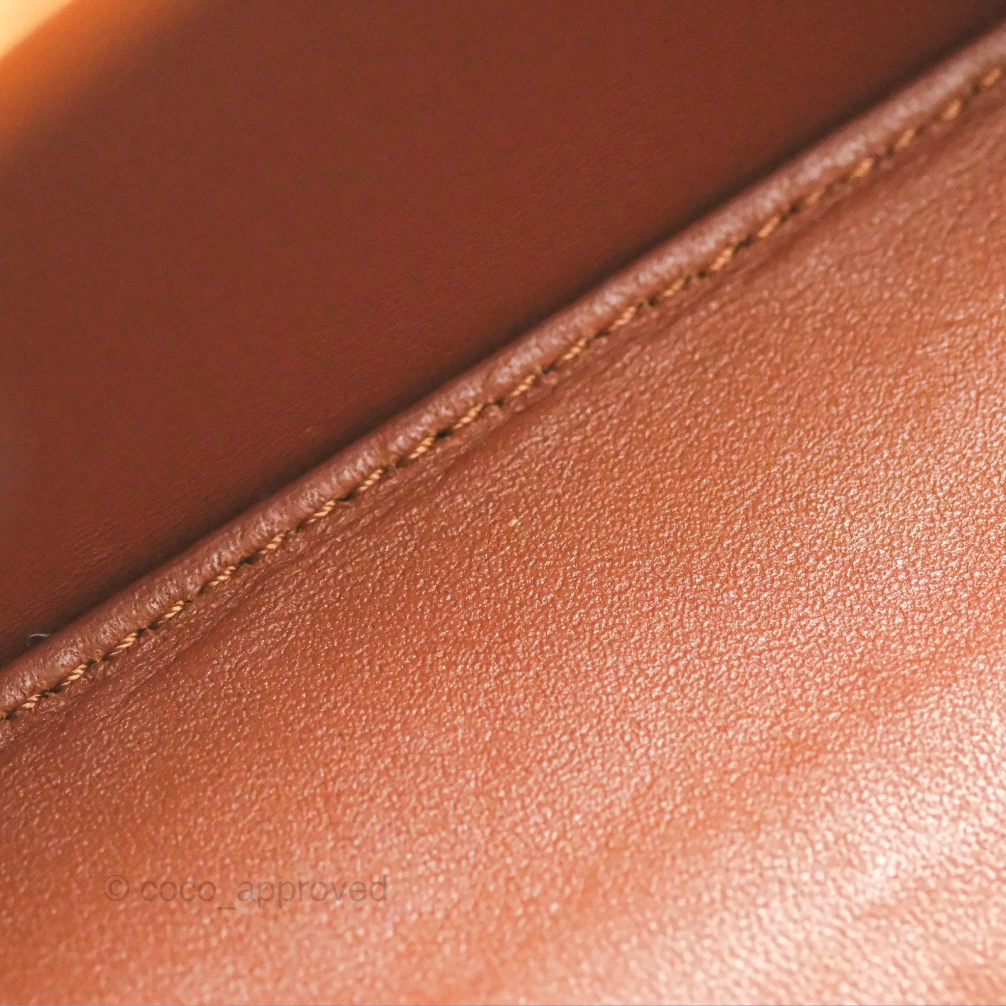 Celine Lunch Box Bag Triomphe Canvas Tan