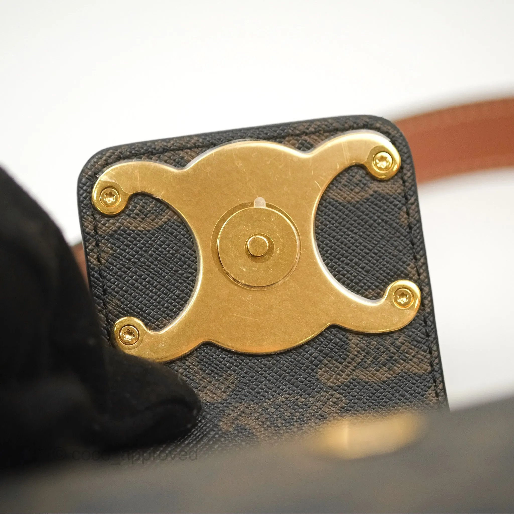 Celine Medium Ava Triomphe Bag Triomphe Canvas Tan Calfskin