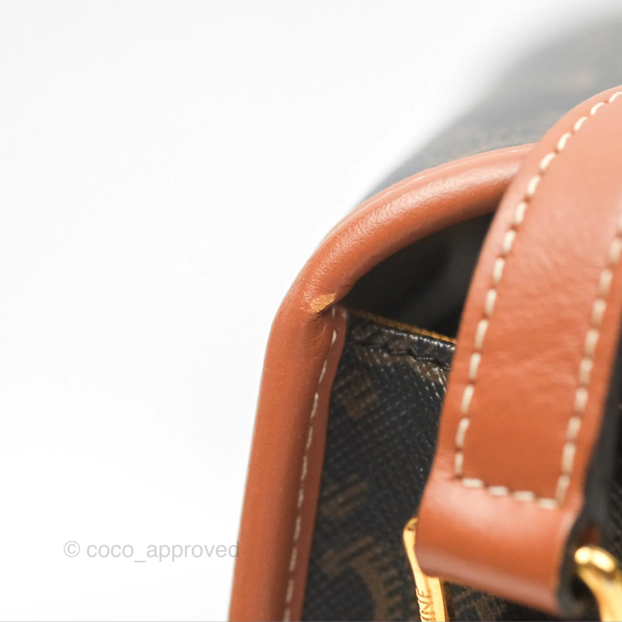 Celine Medium Folco Bag Triomphe Canvas Tan