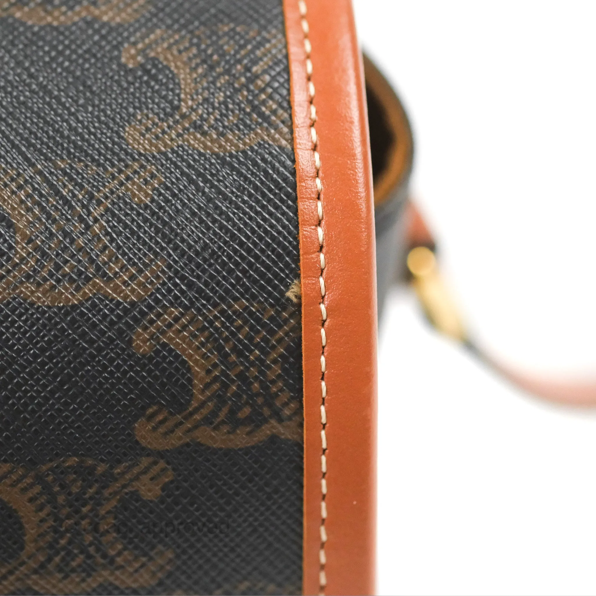 Celine Medium Folco Bag Triomphe Canvas Tan