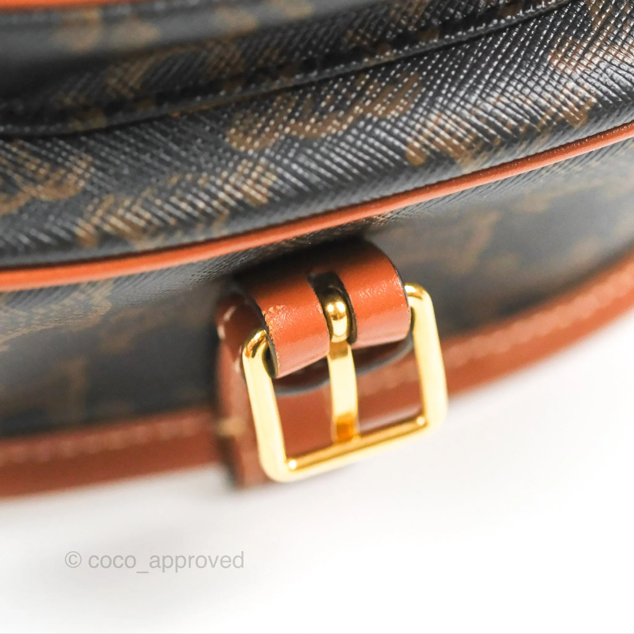 Celine Medium Folco Bag Triomphe Canvas Tan