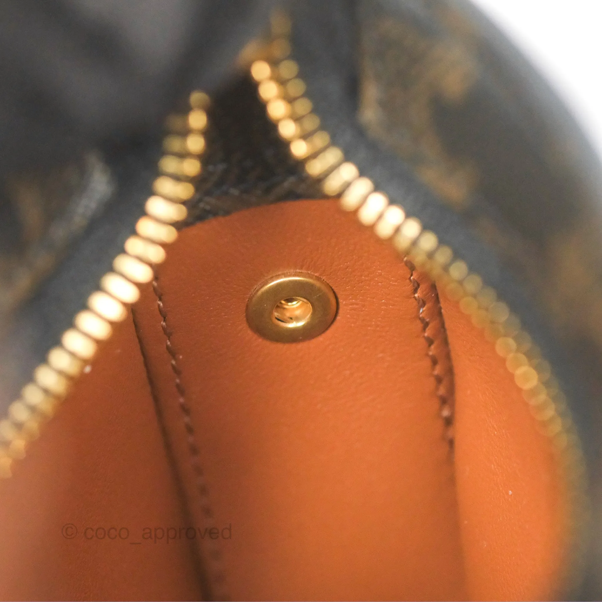Celine Medium Tilly Bag In Triomphe Canvas and Calfskin Tan