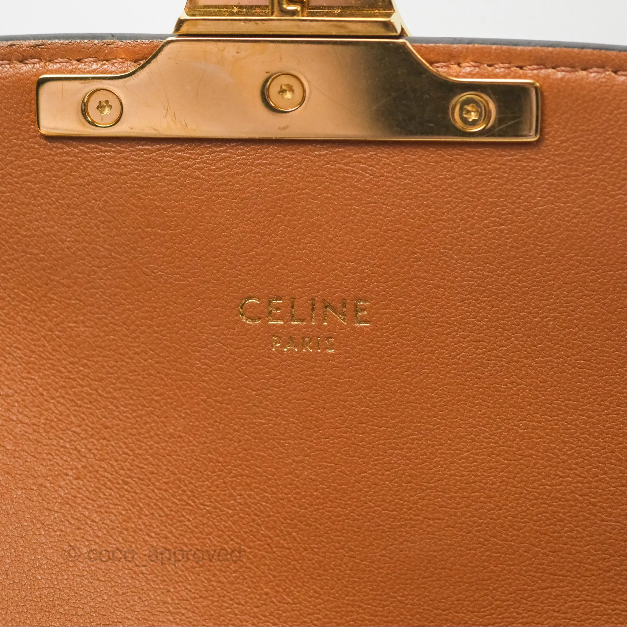 Celine Medium Triomphe Bag Triomphe Canvas Tan Calfskin