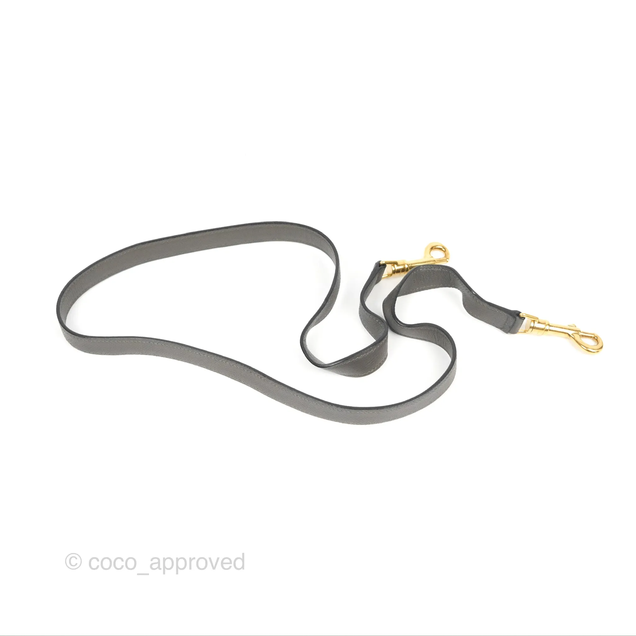 Celine Micro Belt Bag Grey Grained Calfskin Gold Hardware