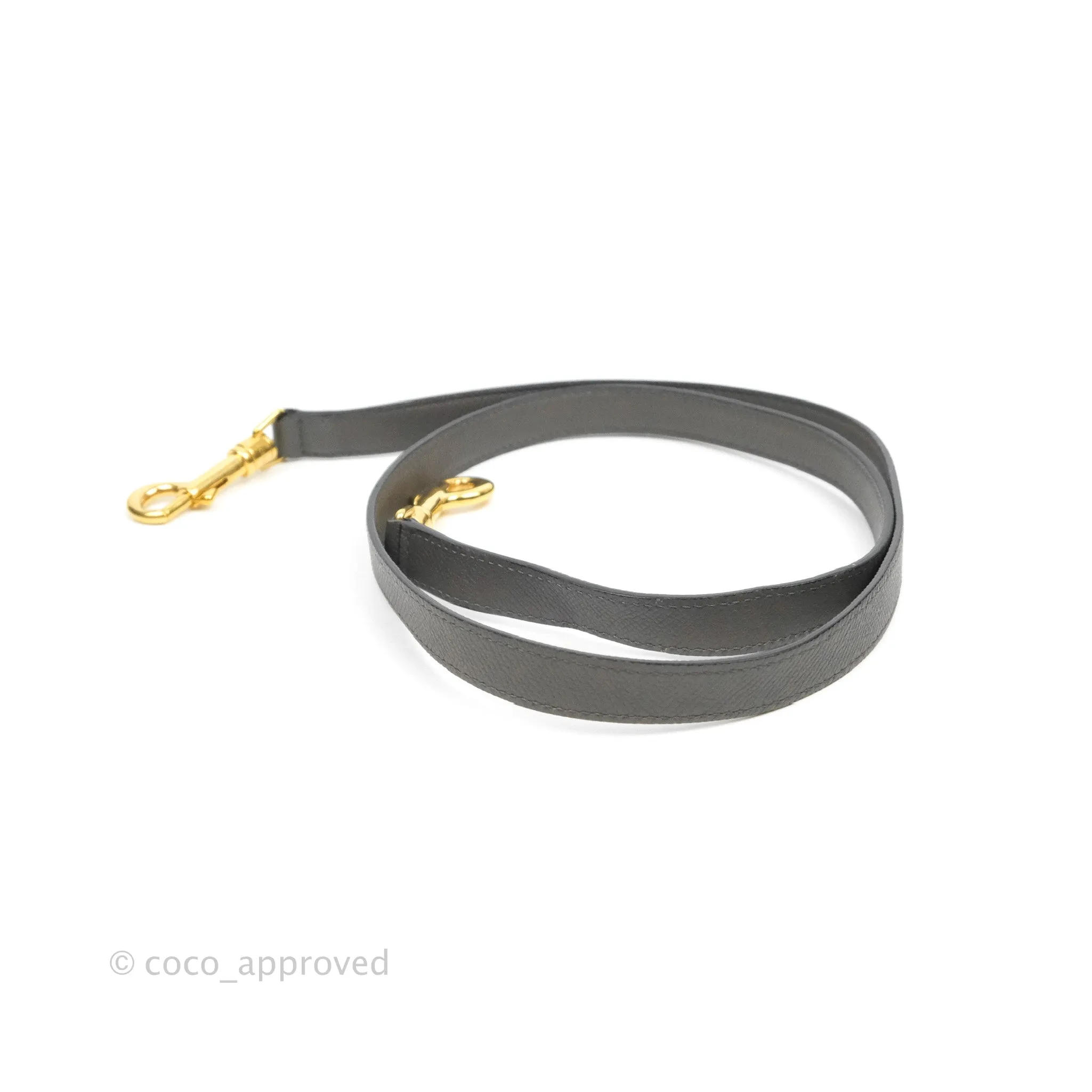 Celine Micro Belt Bag Grey Grained Calfskin Gold Hardware