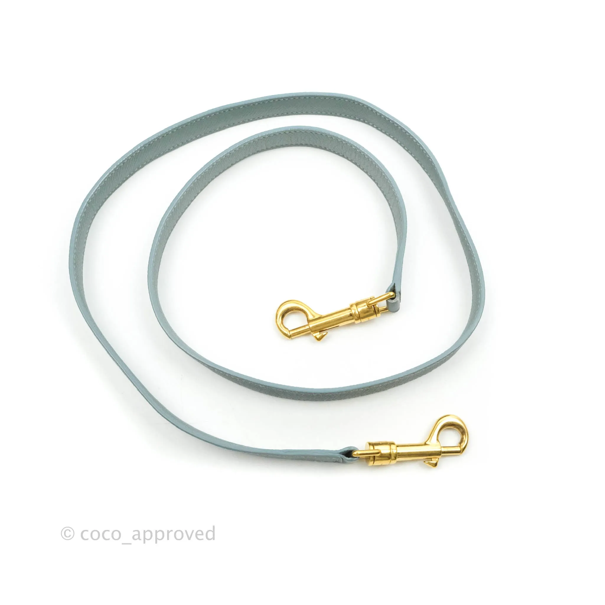 Celine Micro Belt Bag Light Blue Grained Calfskin Gold Hardware