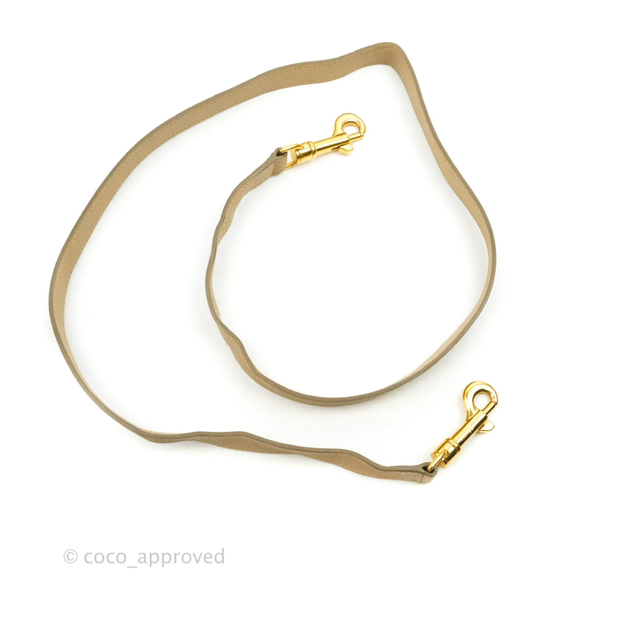Celine Micro Belt Bag Light Taupe Grained Calfskin Gold Hardware