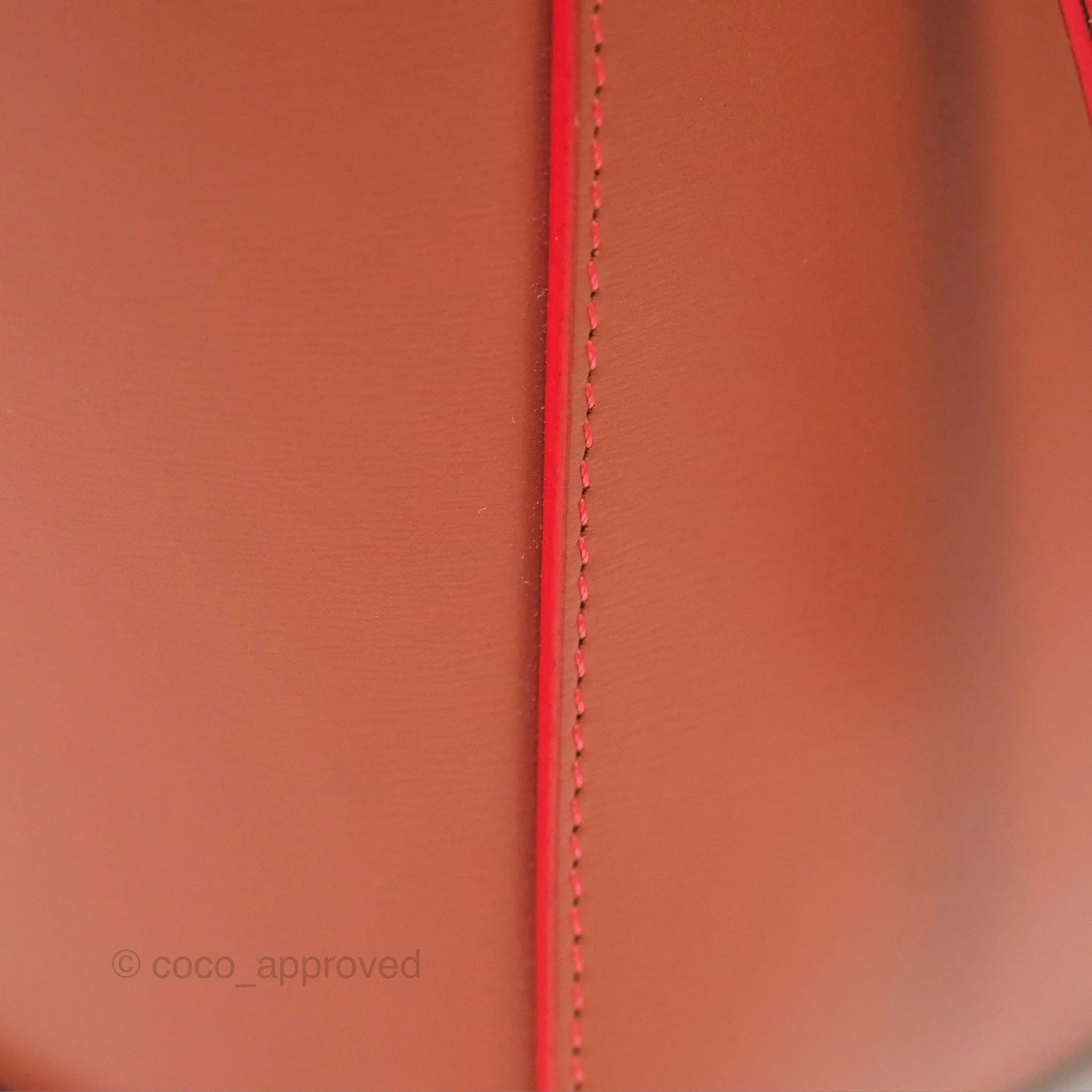 Celine Micro Belt Bag Terracotta Smooth Leather Gold Hardware