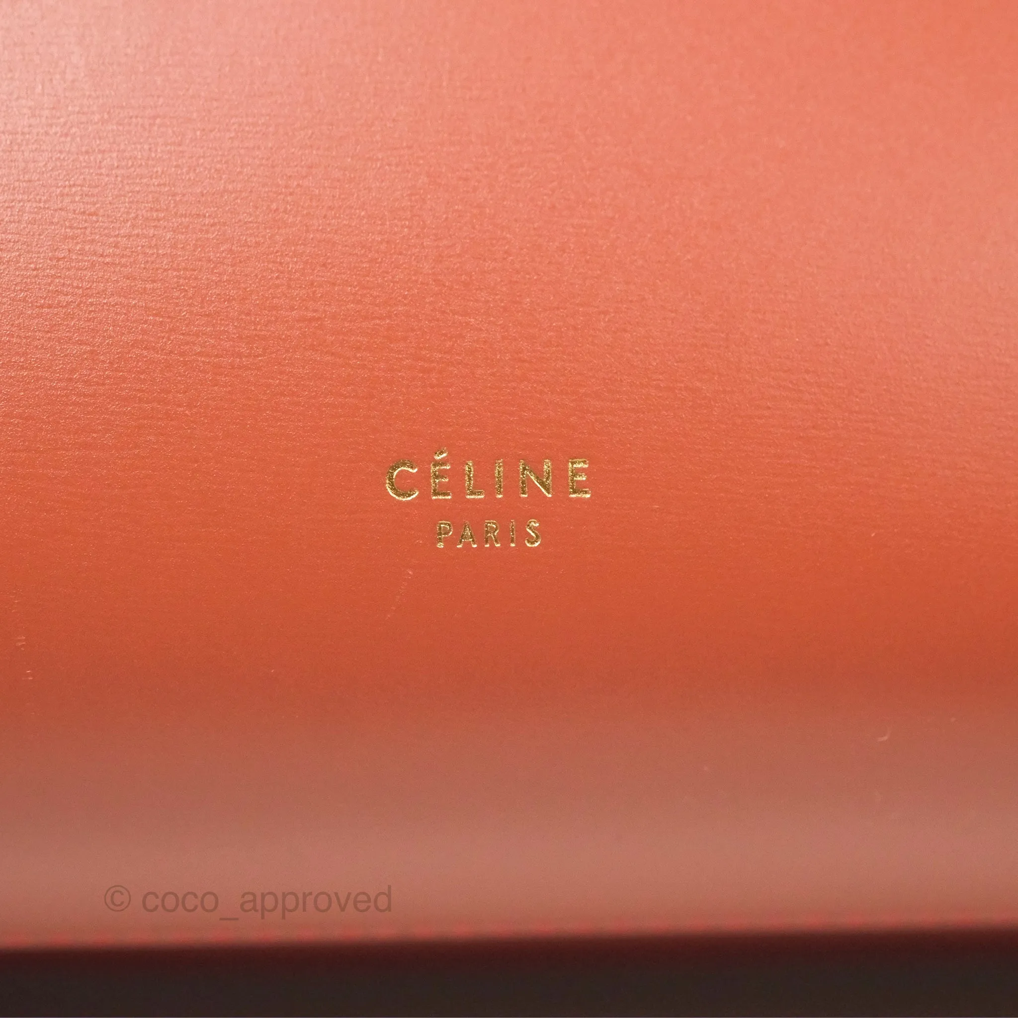 Celine Micro Belt Bag Terracotta Smooth Leather Gold Hardware