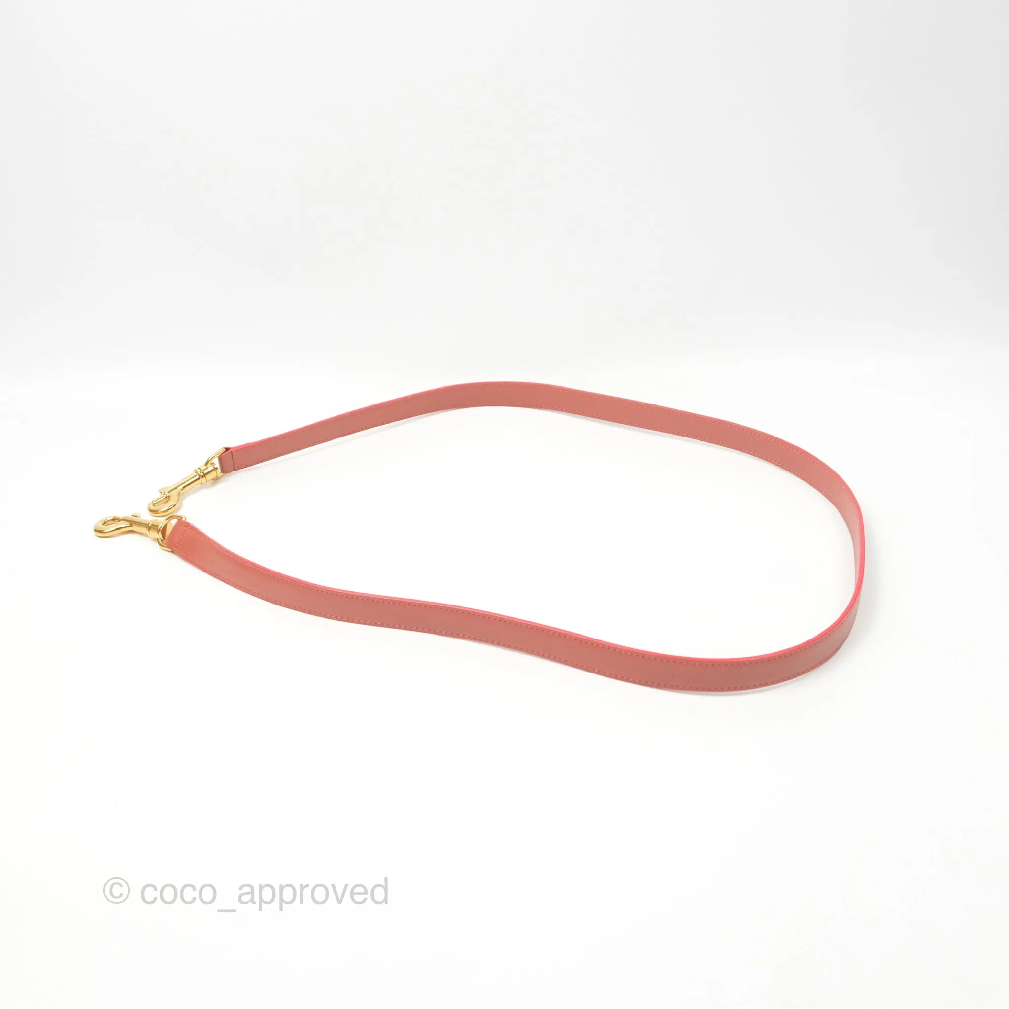 Celine Micro Belt Bag Terracotta Smooth Leather Gold Hardware