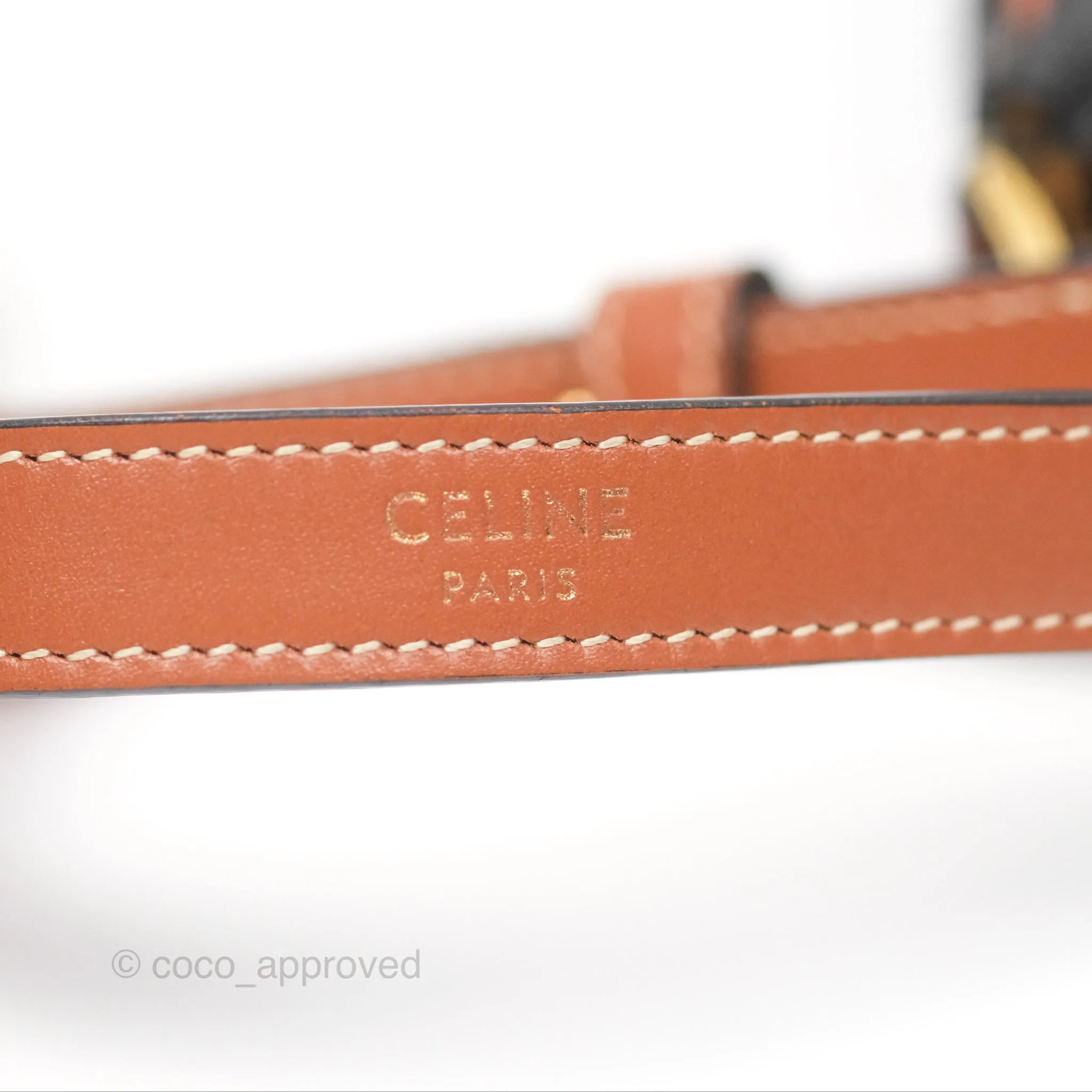 Celine Mini Ava Bag In Triomphe Canvas Calfskin Tan