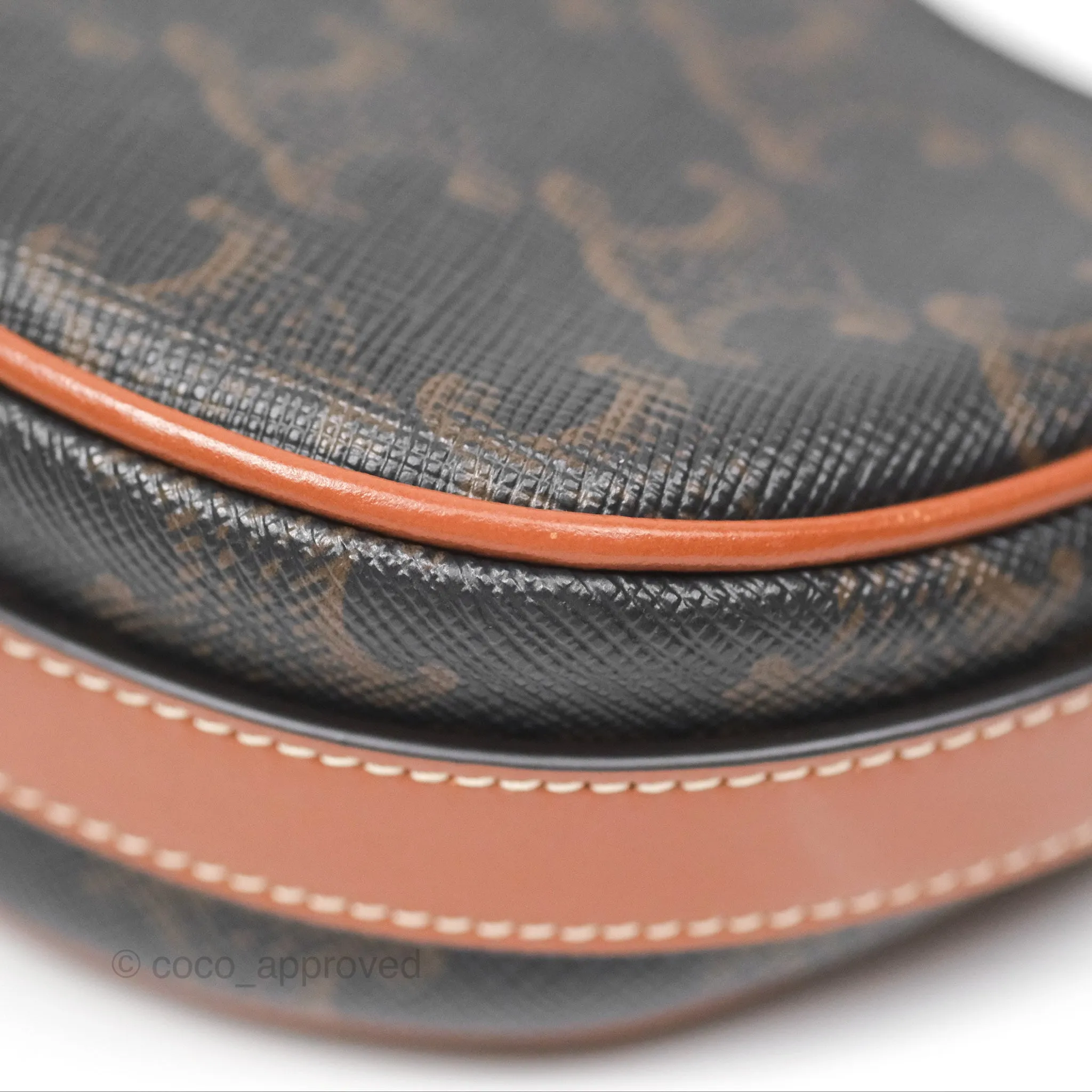 Celine Mini Ava Bag In Triomphe Canvas Calfskin Tan