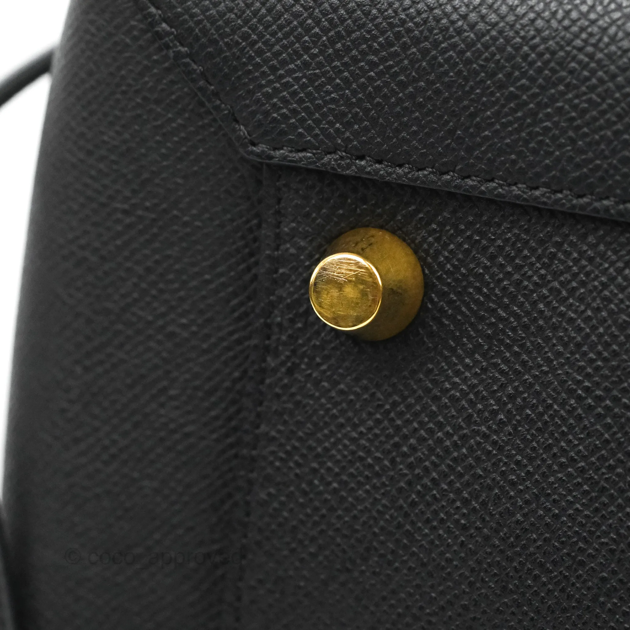 Celine Mini Belt Bag Black Grained Calfskin Gold Hardware