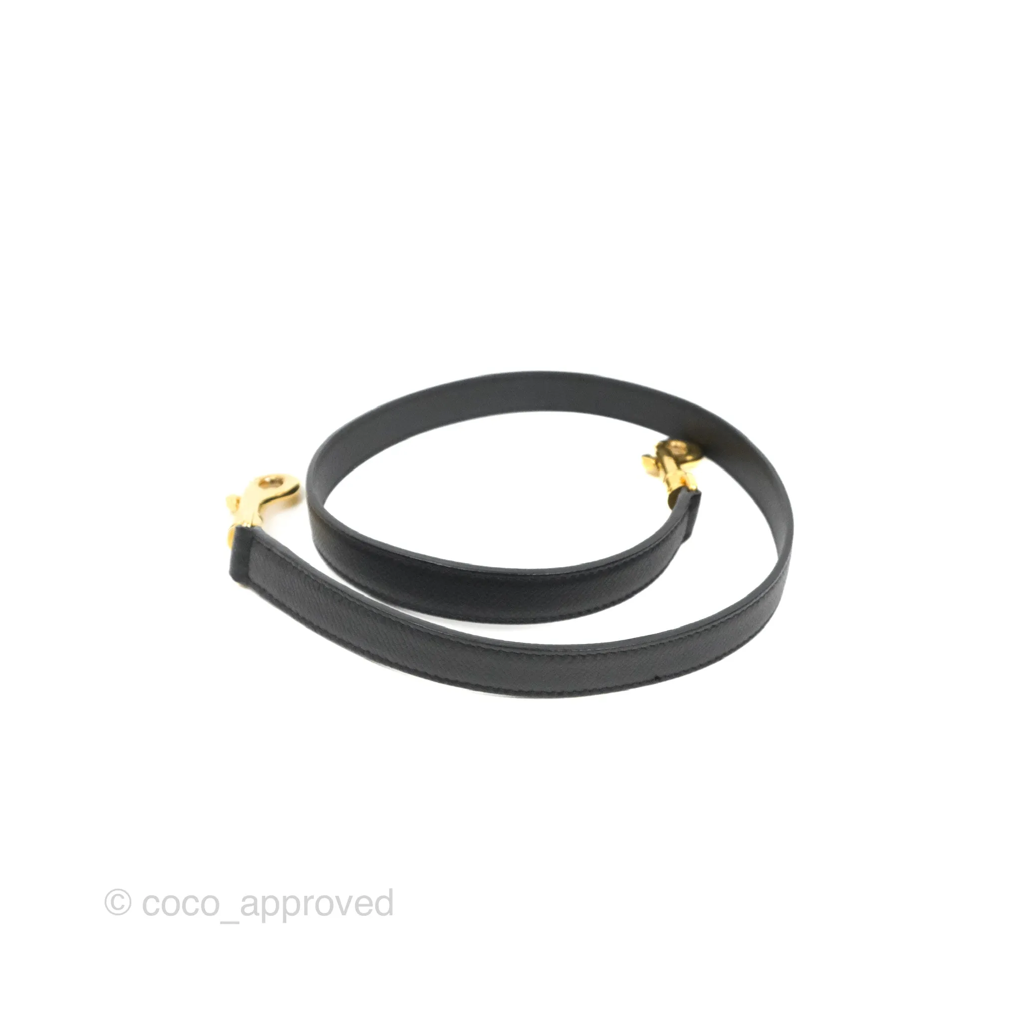 Celine Mini Belt Bag Black Grained Calfskin Gold Hardware