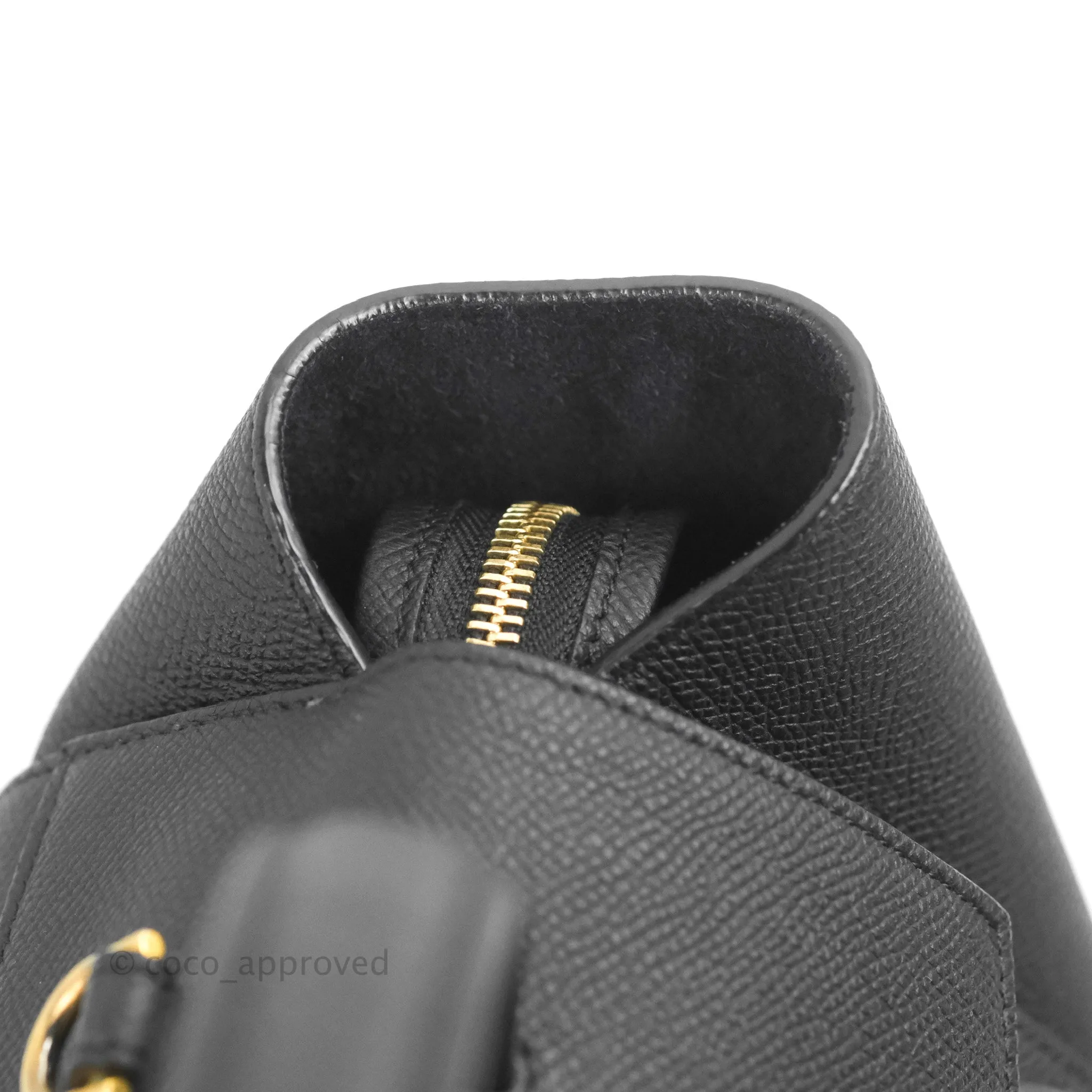 Celine Mini Belt Bag Black Grained Calfskin Gold Hardware