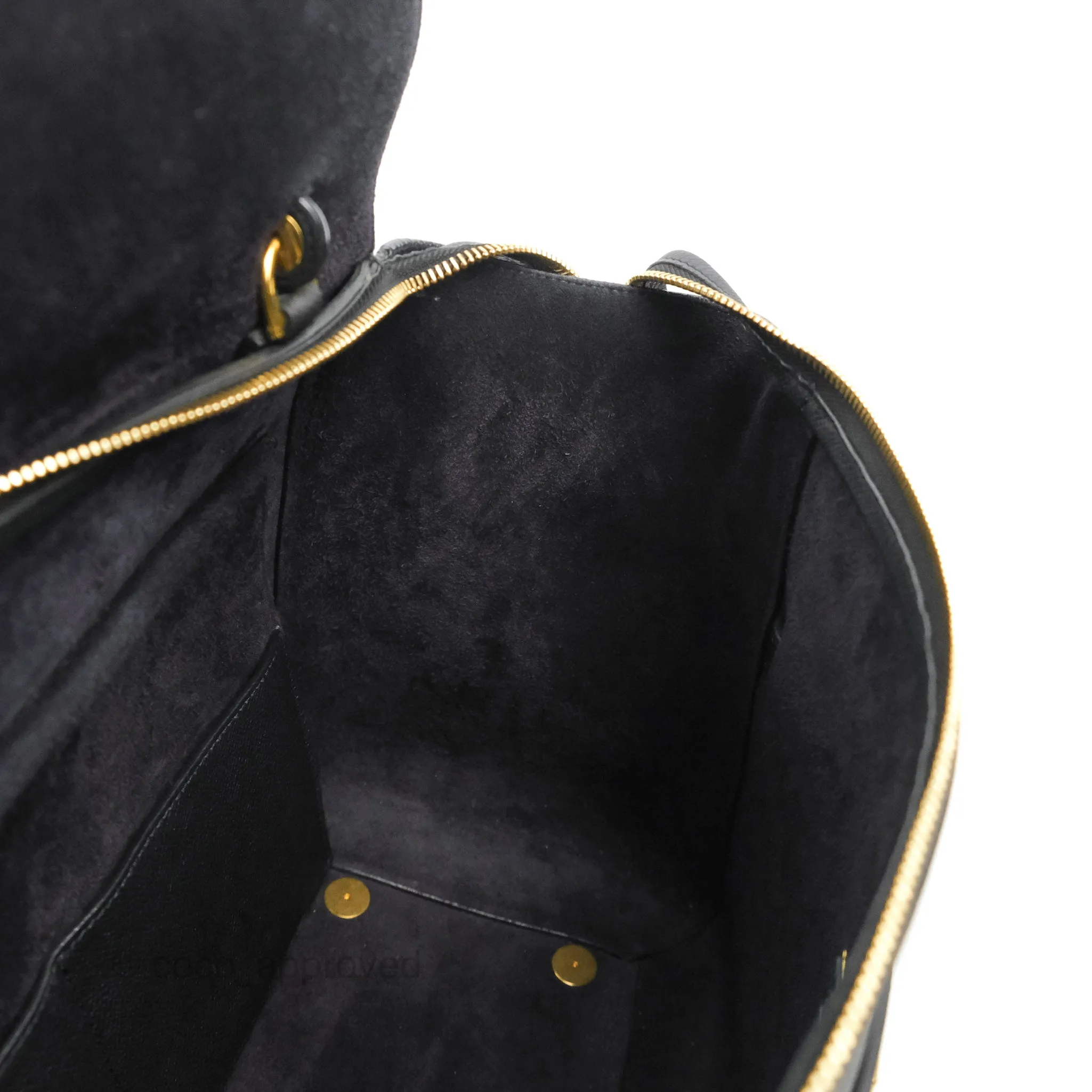 Celine Mini Belt Bag Black Grained Calfskin Gold Hardware