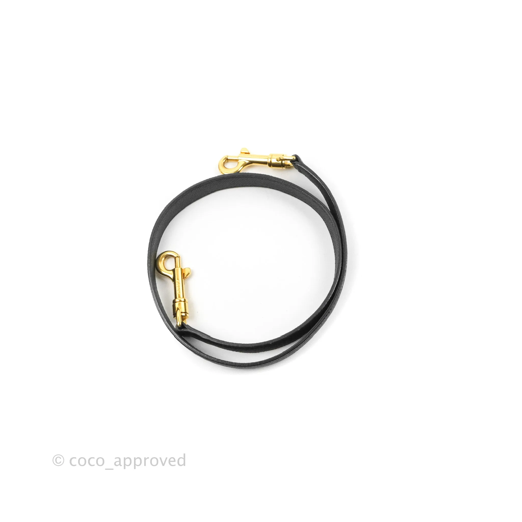 Celine Mini Belt Bag Black Grained Calfskin Gold Hardware