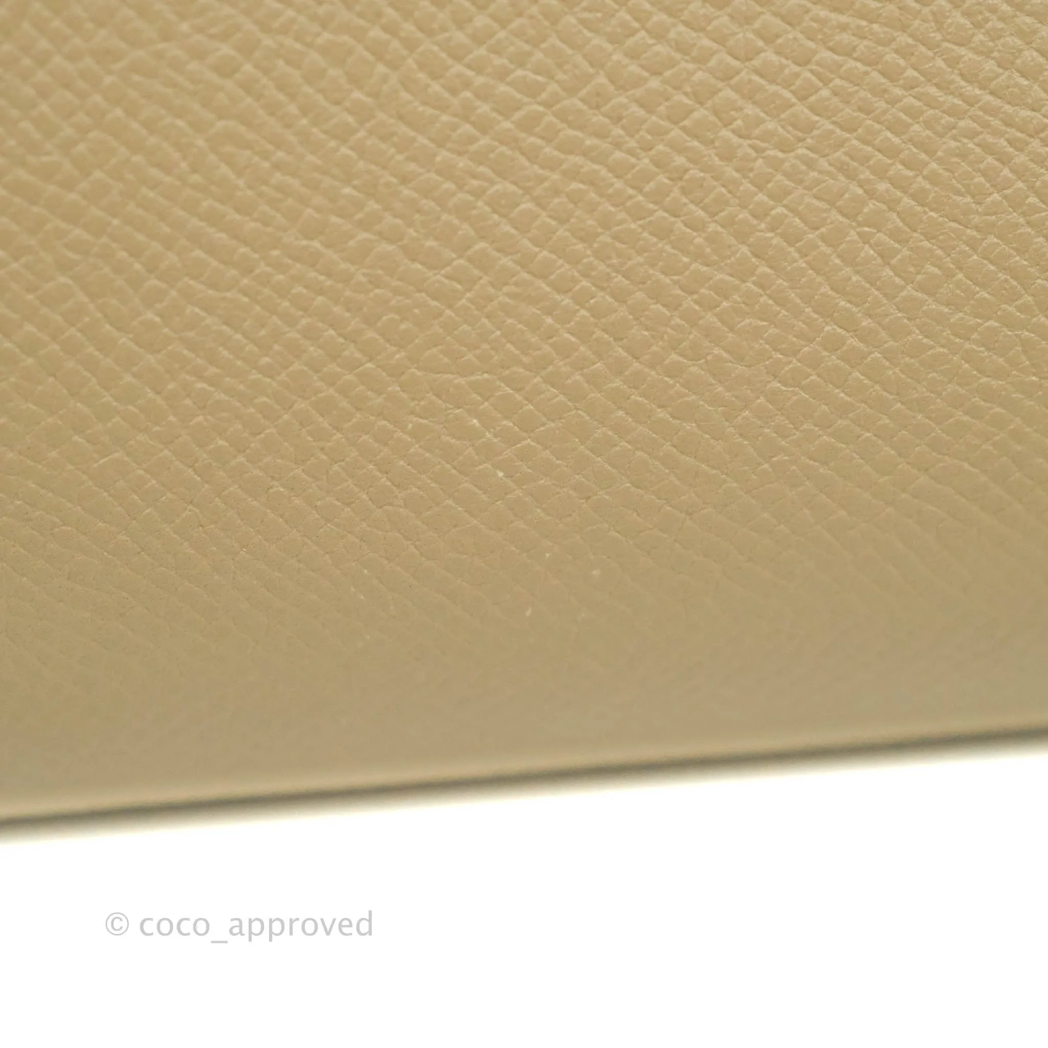 Celine Mini Belt Bag Dune Grained Calfskin Gold Hardware