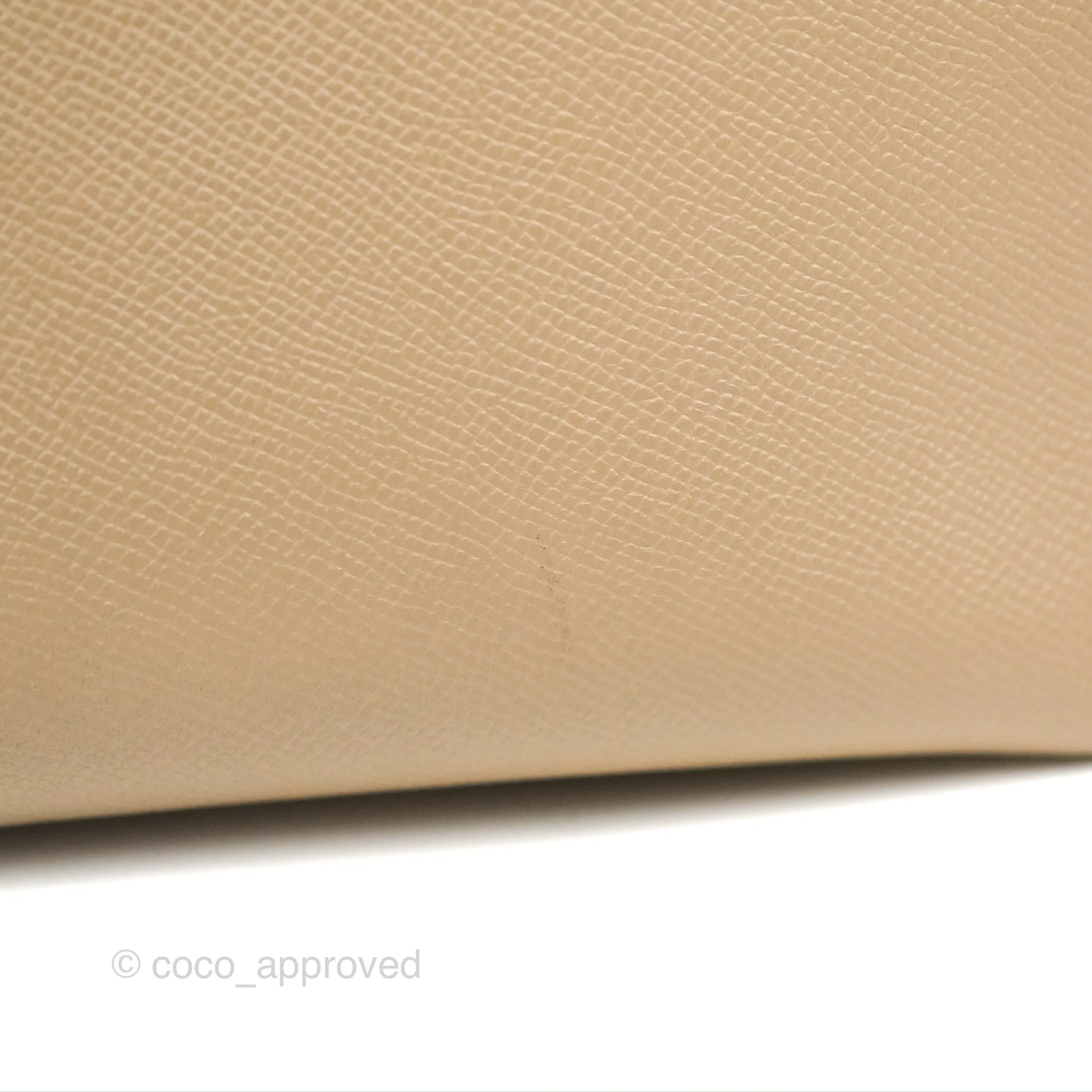Celine Mini Belt Bag Light Taupe Grained Calfskin Gold Hardware