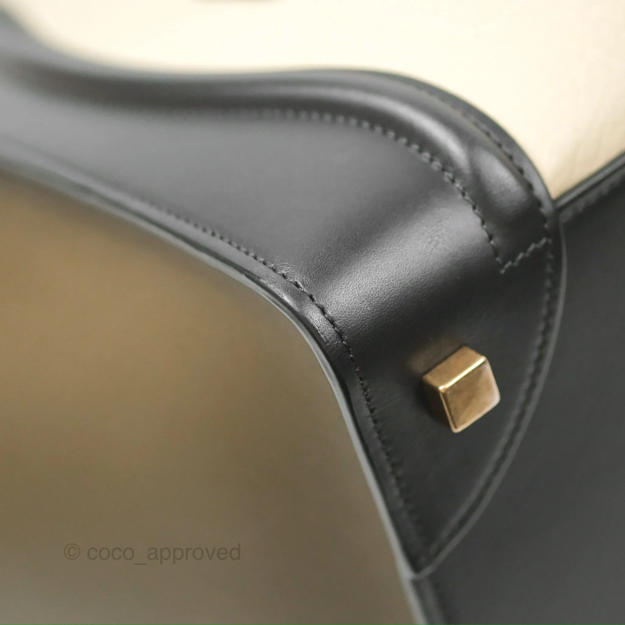 Celine Mini Luggage Bag Black/Brown/Ivory Calfskin