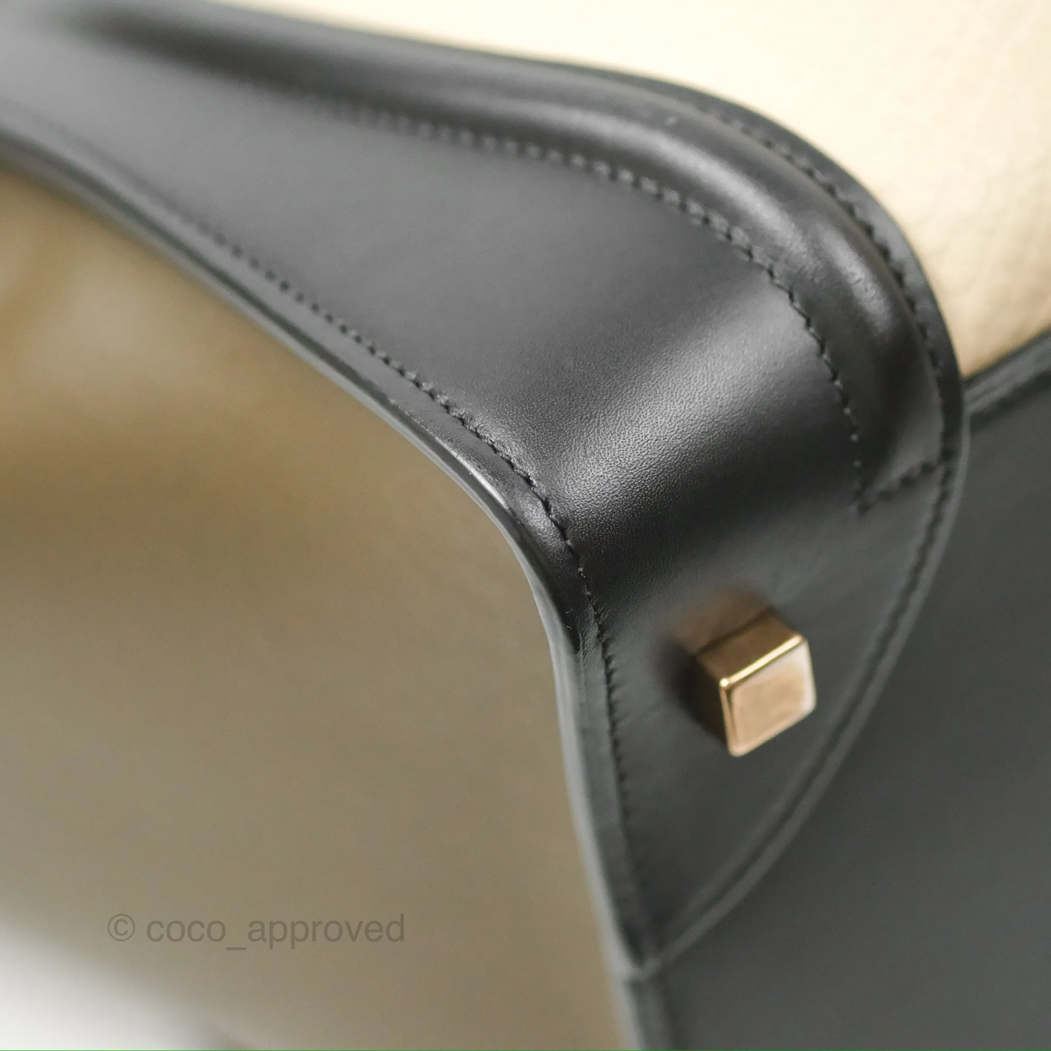 Celine Mini Luggage Bag Black/Brown/Ivory Calfskin
