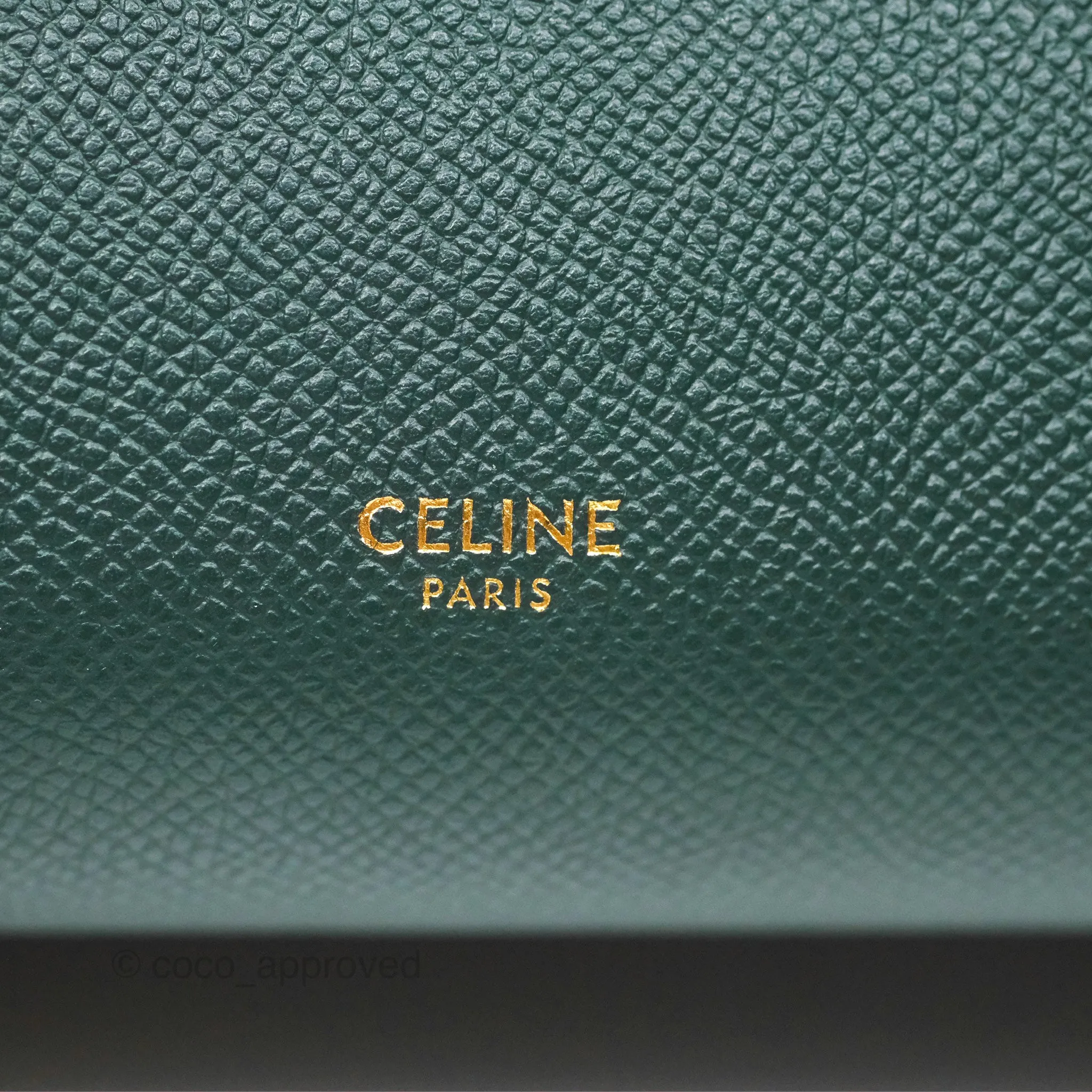 Celine Nano Belt Bag Amazone Grained Calfskin Gold Hardware