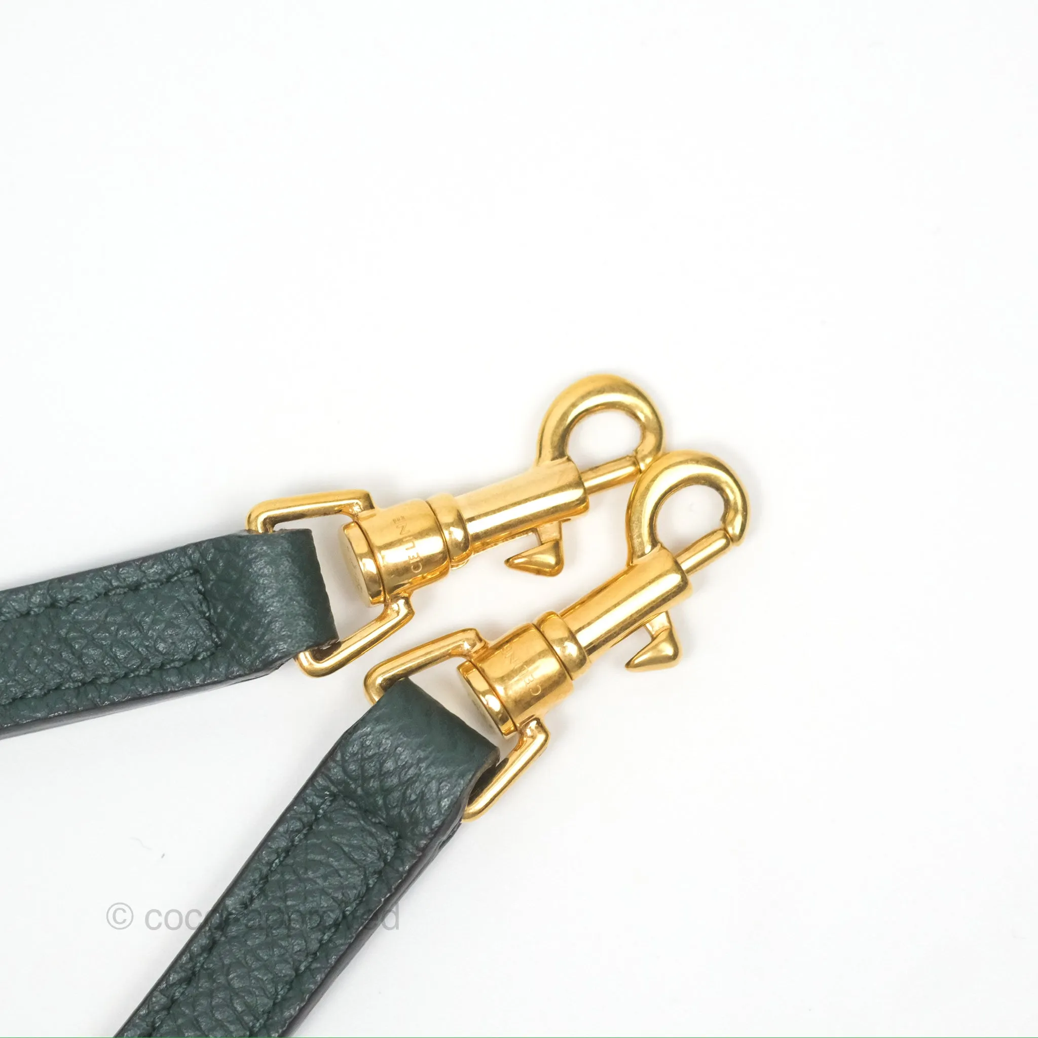 Celine Nano Belt Bag Amazone Grained Calfskin Gold Hardware