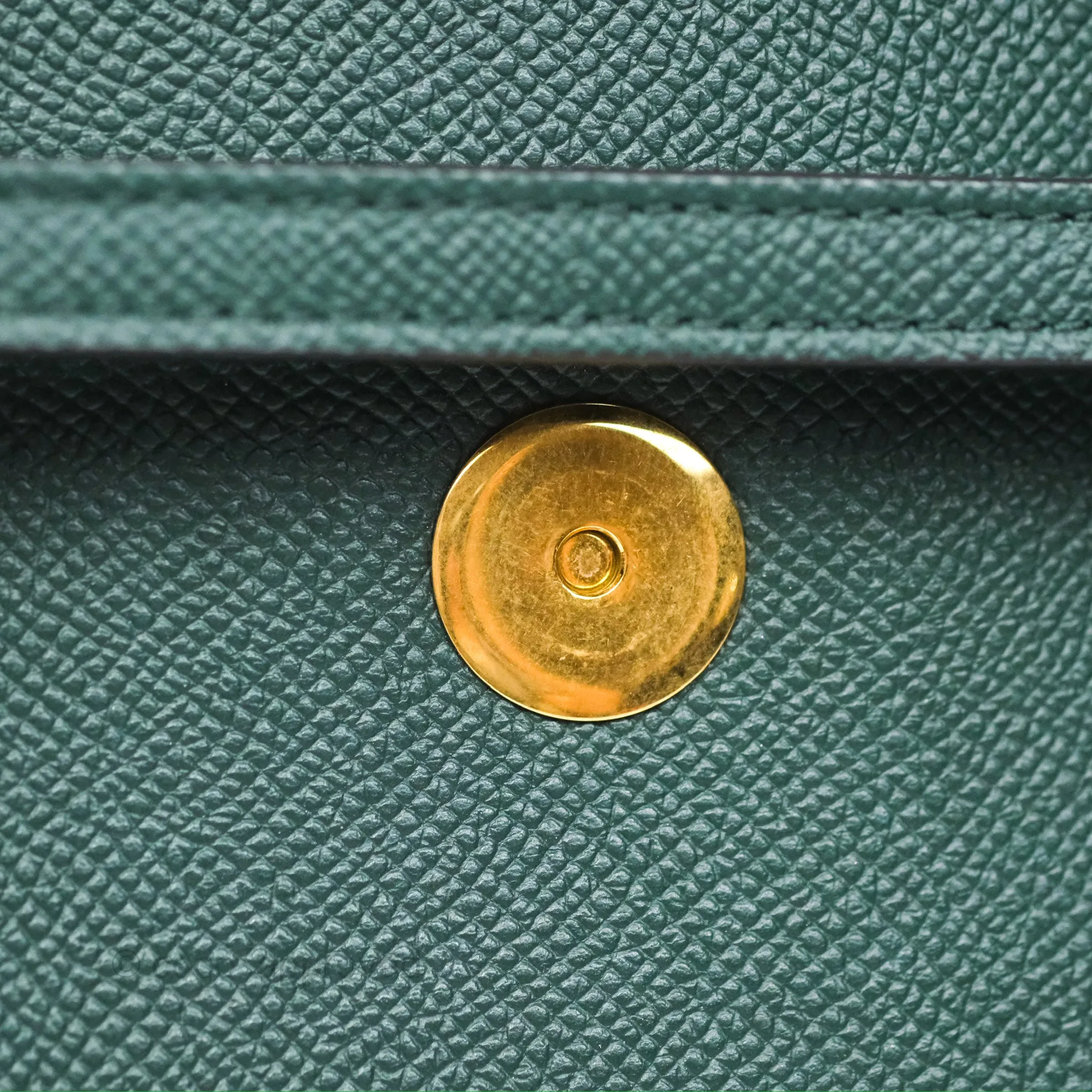 Celine Nano Belt Bag Amazone Grained Calfskin Gold Hardware