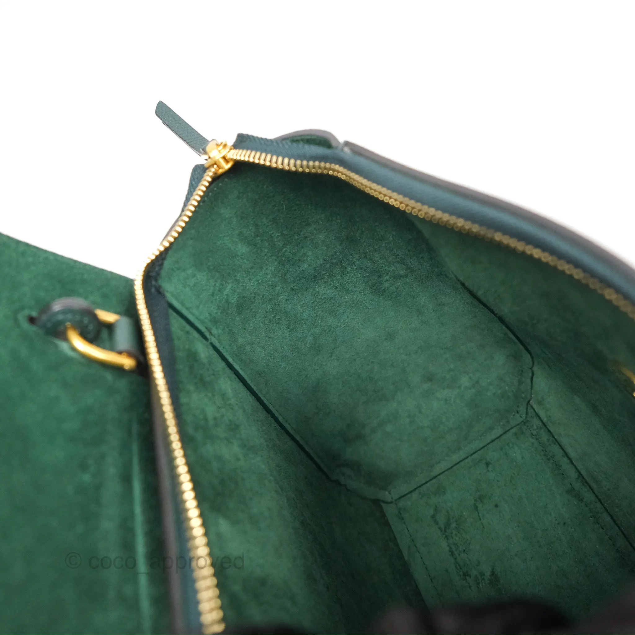Celine Nano Belt Bag Amazone Grained Calfskin Gold Hardware