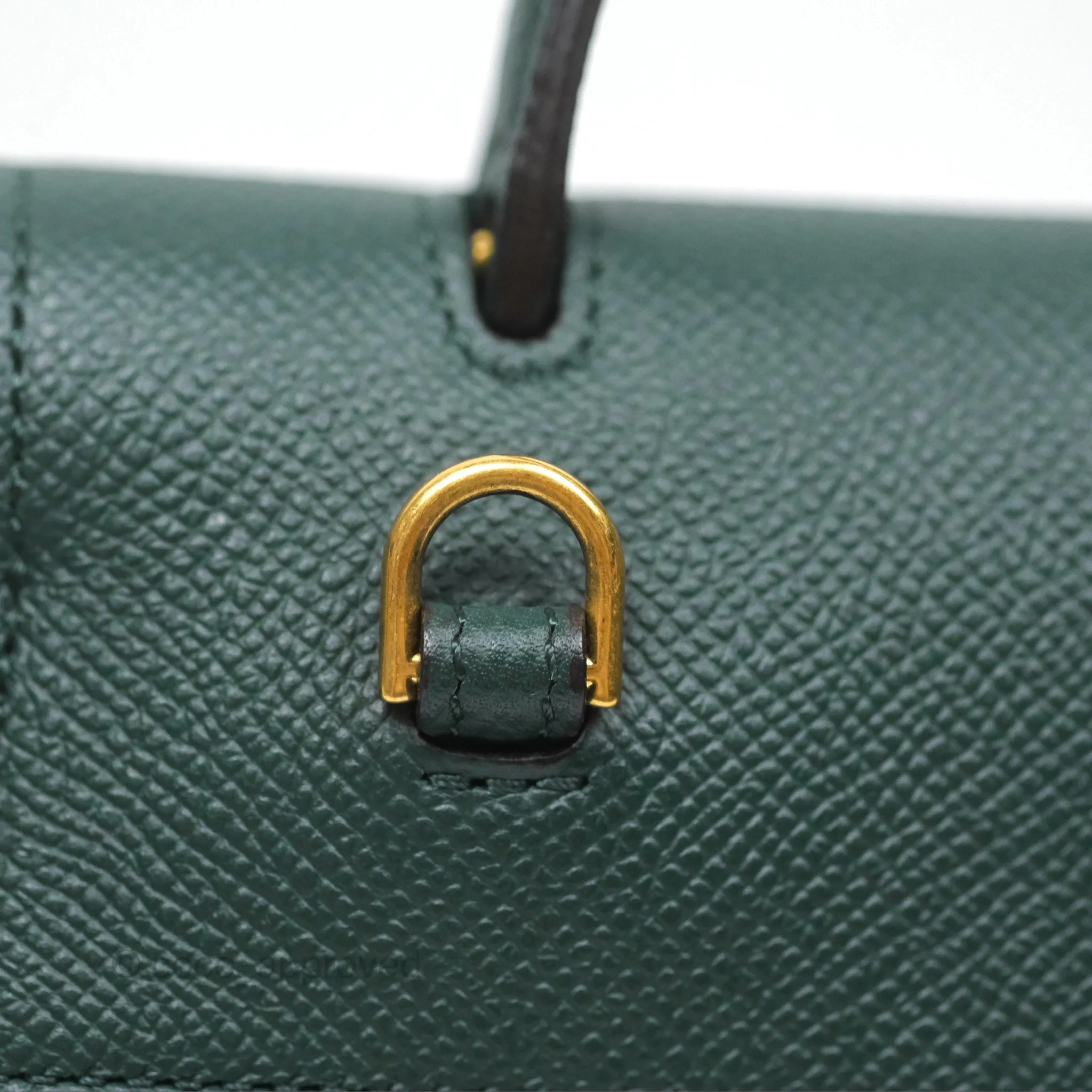 Celine Nano Belt Bag Amazone Grained Calfskin Gold Hardware