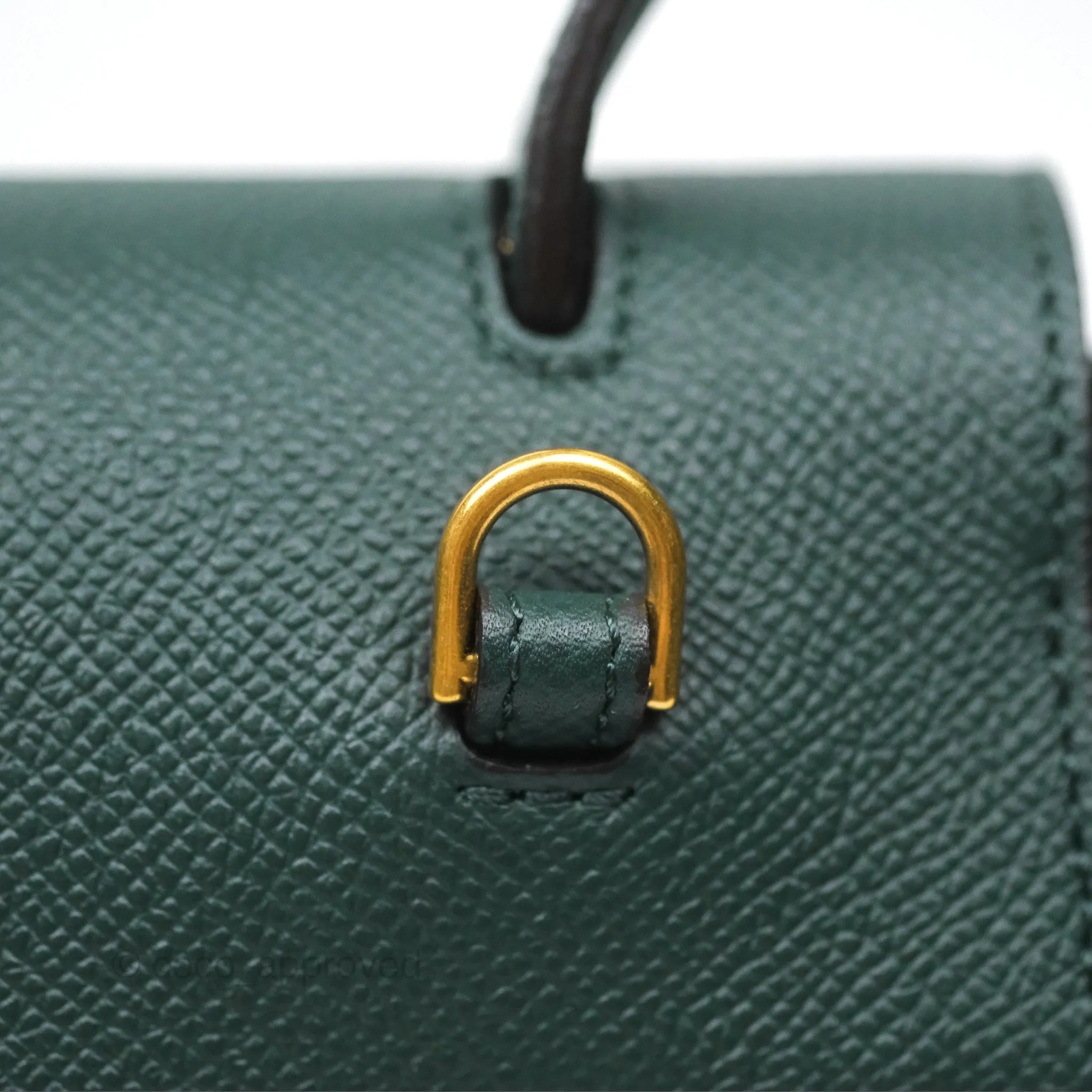 Celine Nano Belt Bag Amazone Grained Calfskin Gold Hardware
