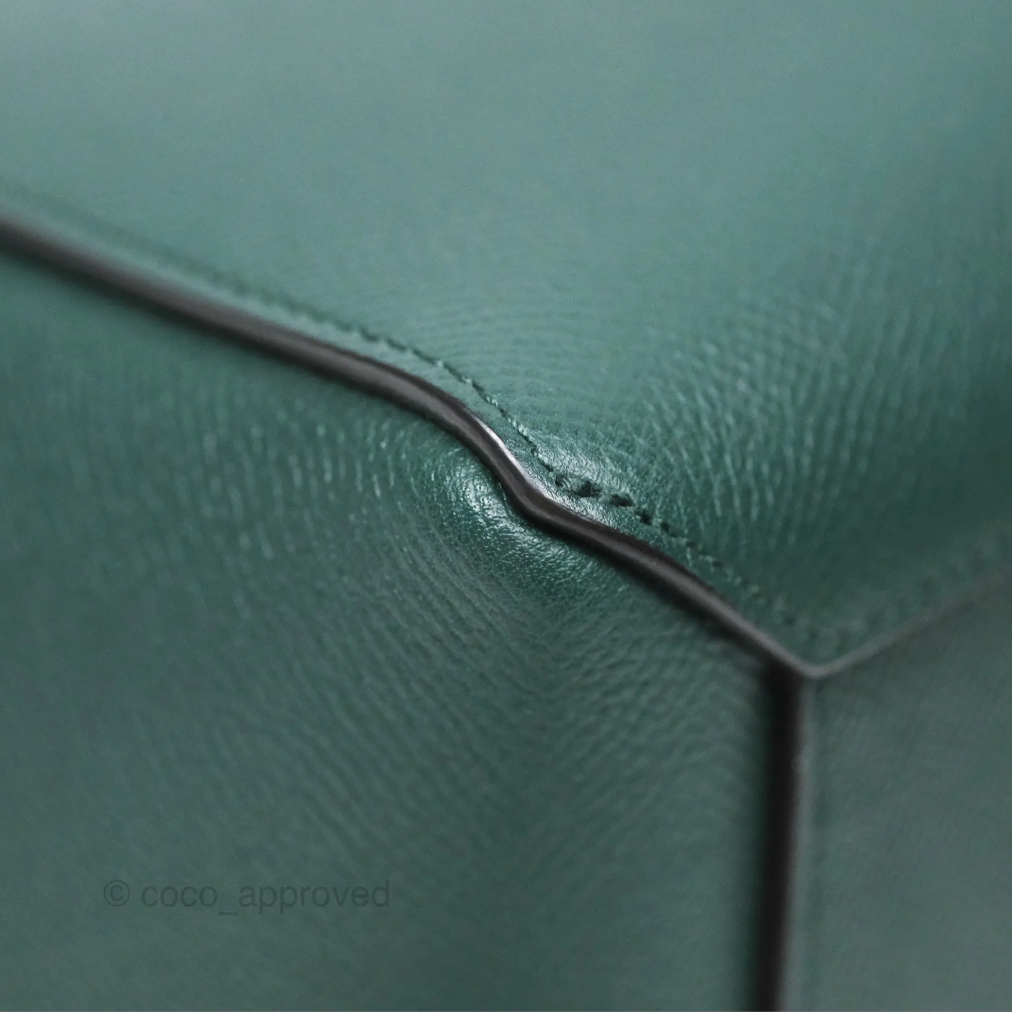 Celine Nano Belt Bag Amazone Grained Calfskin Gold Hardware
