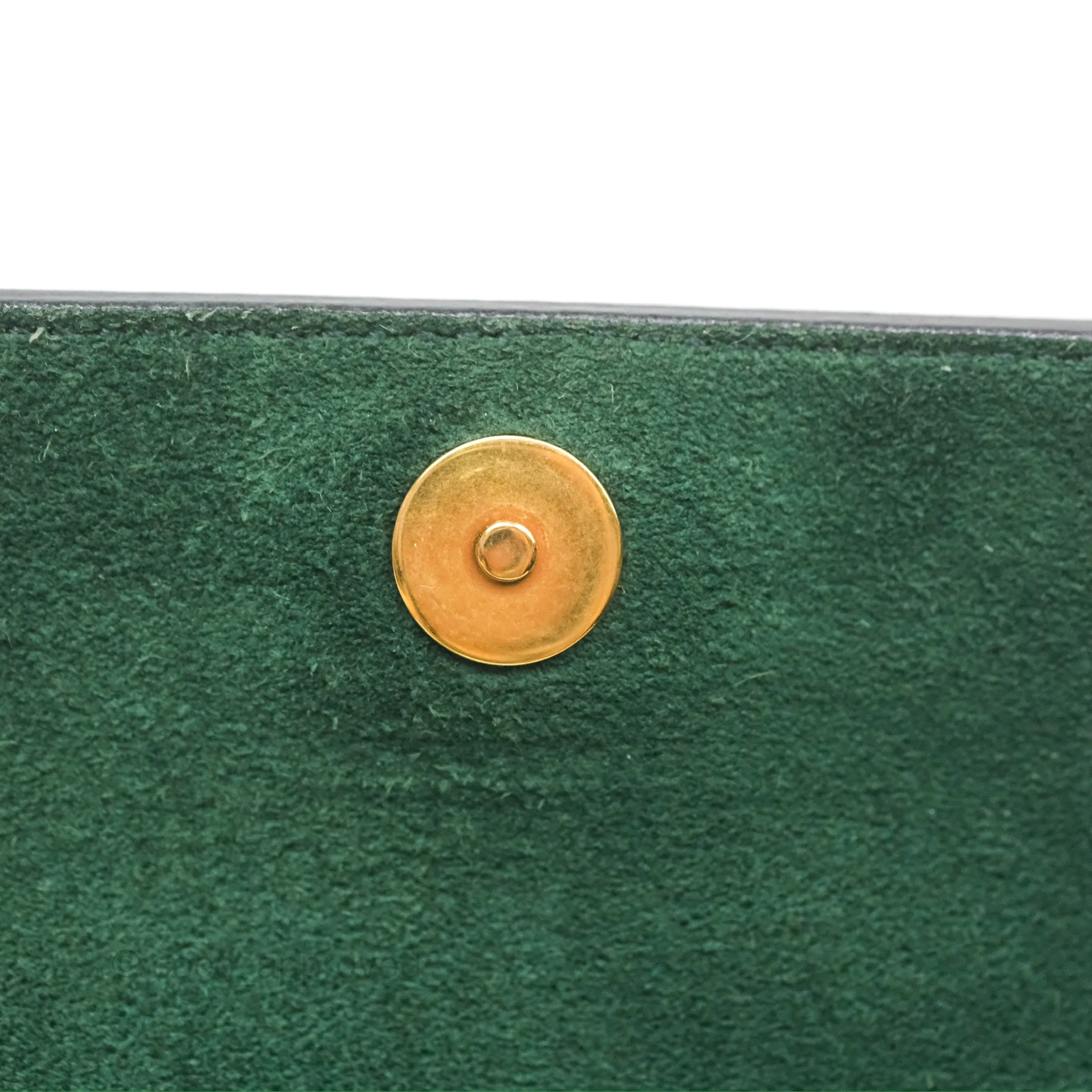 Celine Nano Belt Bag Amazone Grained Calfskin Gold Hardware