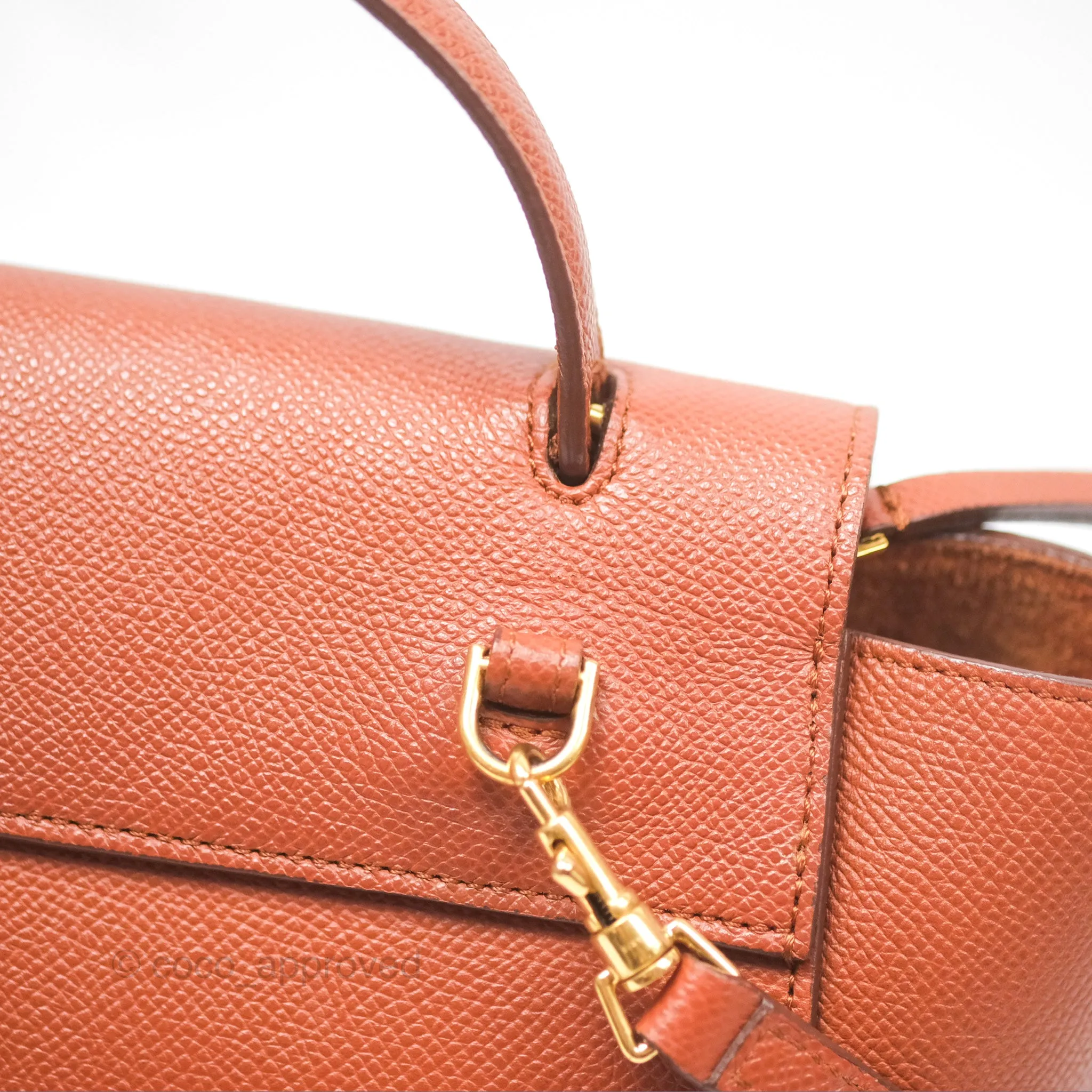 Celine Nano Belt Bag Caramel Grained Calfskin Gold Hardware