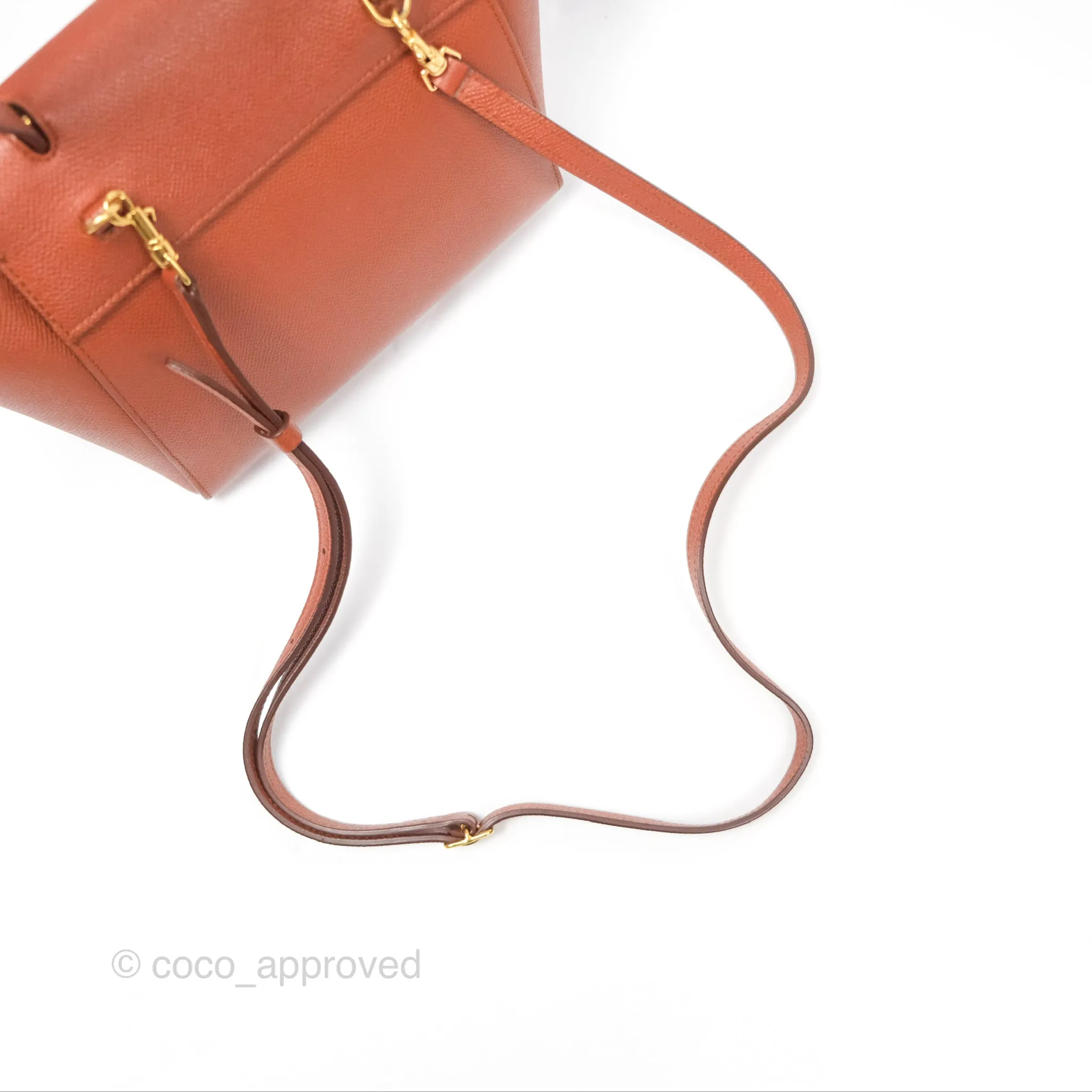 Celine Nano Belt Bag Caramel Grained Calfskin Gold Hardware