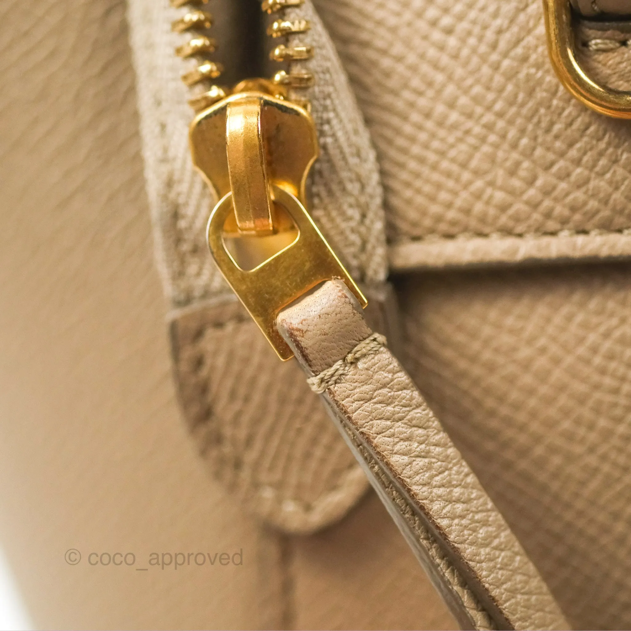 Celine Nano Belt Bag Light Taupe Grained Calfskin Gold Hardware