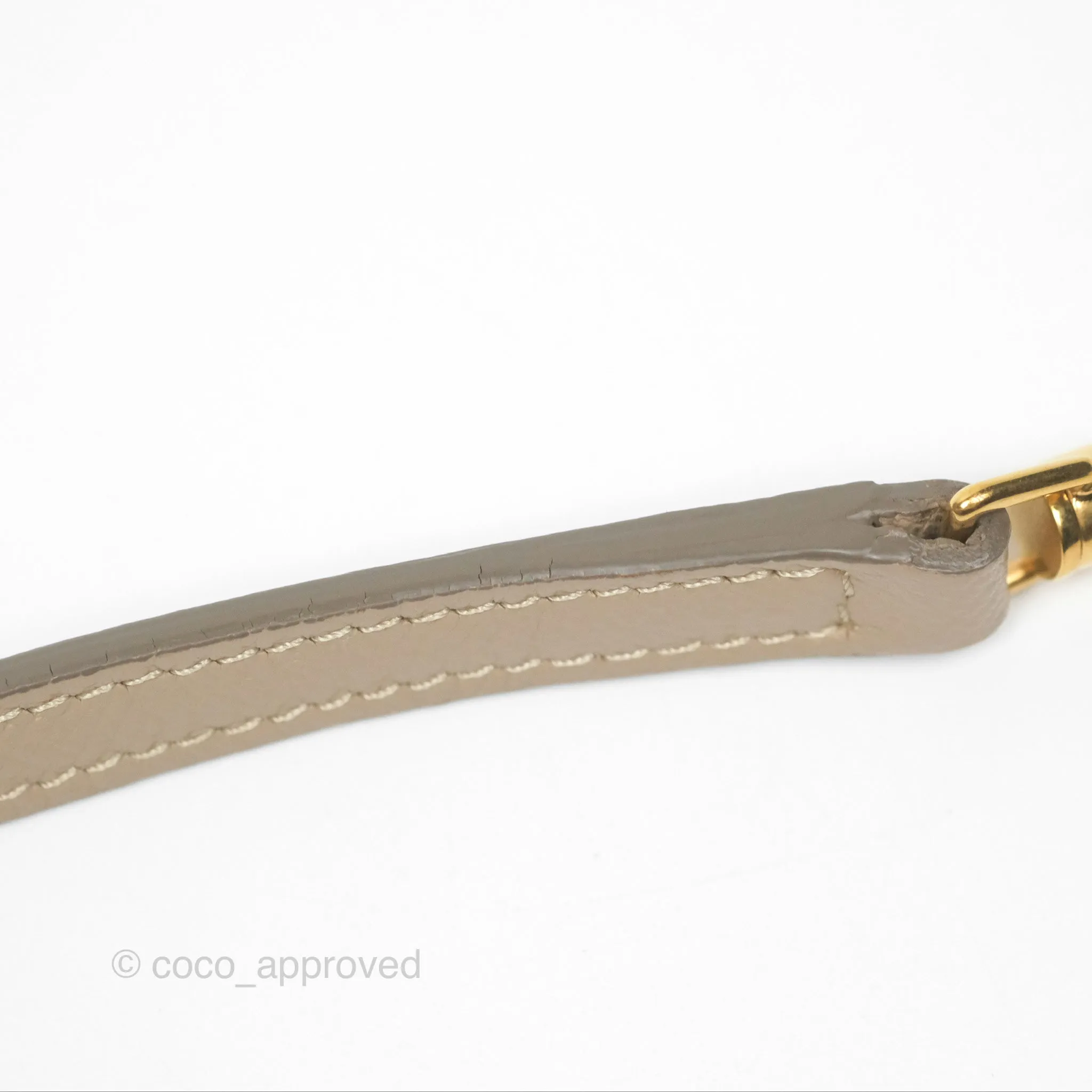 Celine Nano Belt Bag Light Taupe Grained Calfskin Gold Hardware