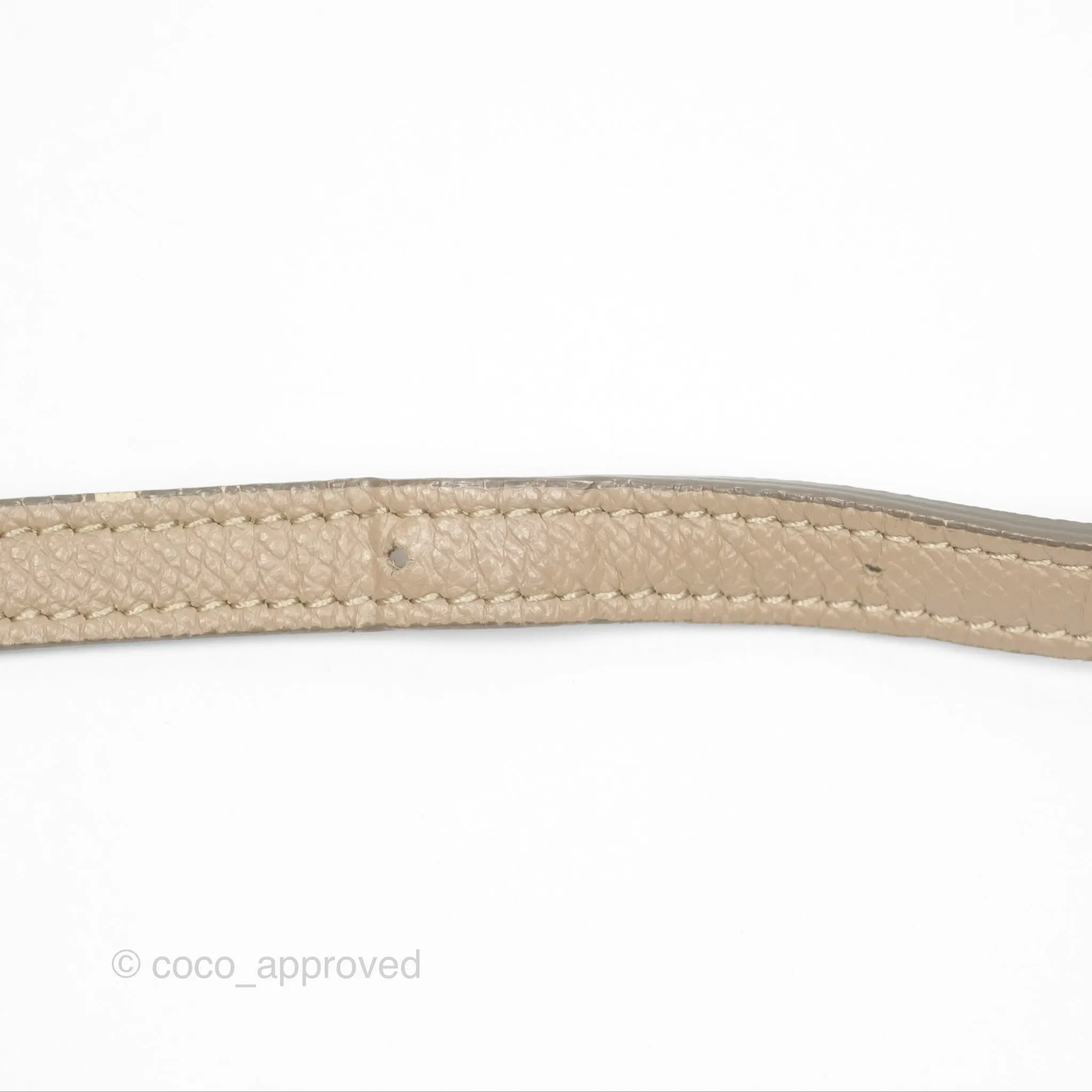 Celine Nano Belt Bag Light Taupe Grained Calfskin Gold Hardware