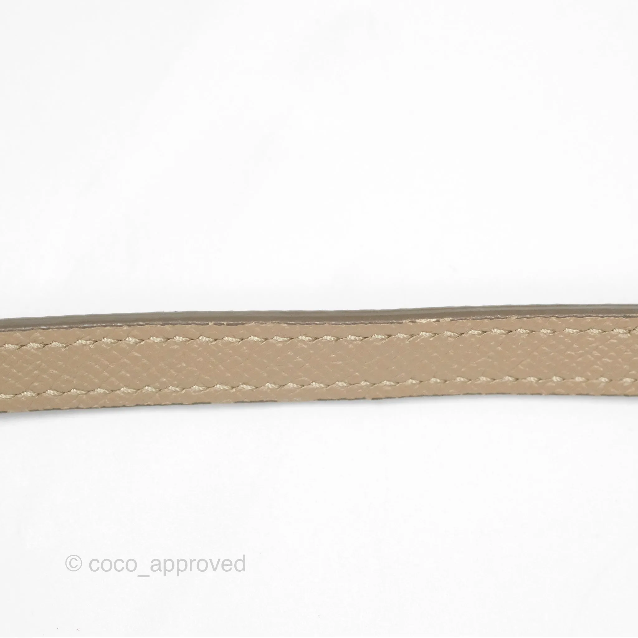 Celine Nano Belt Bag Light Taupe Grained Calfskin Gold Hardware