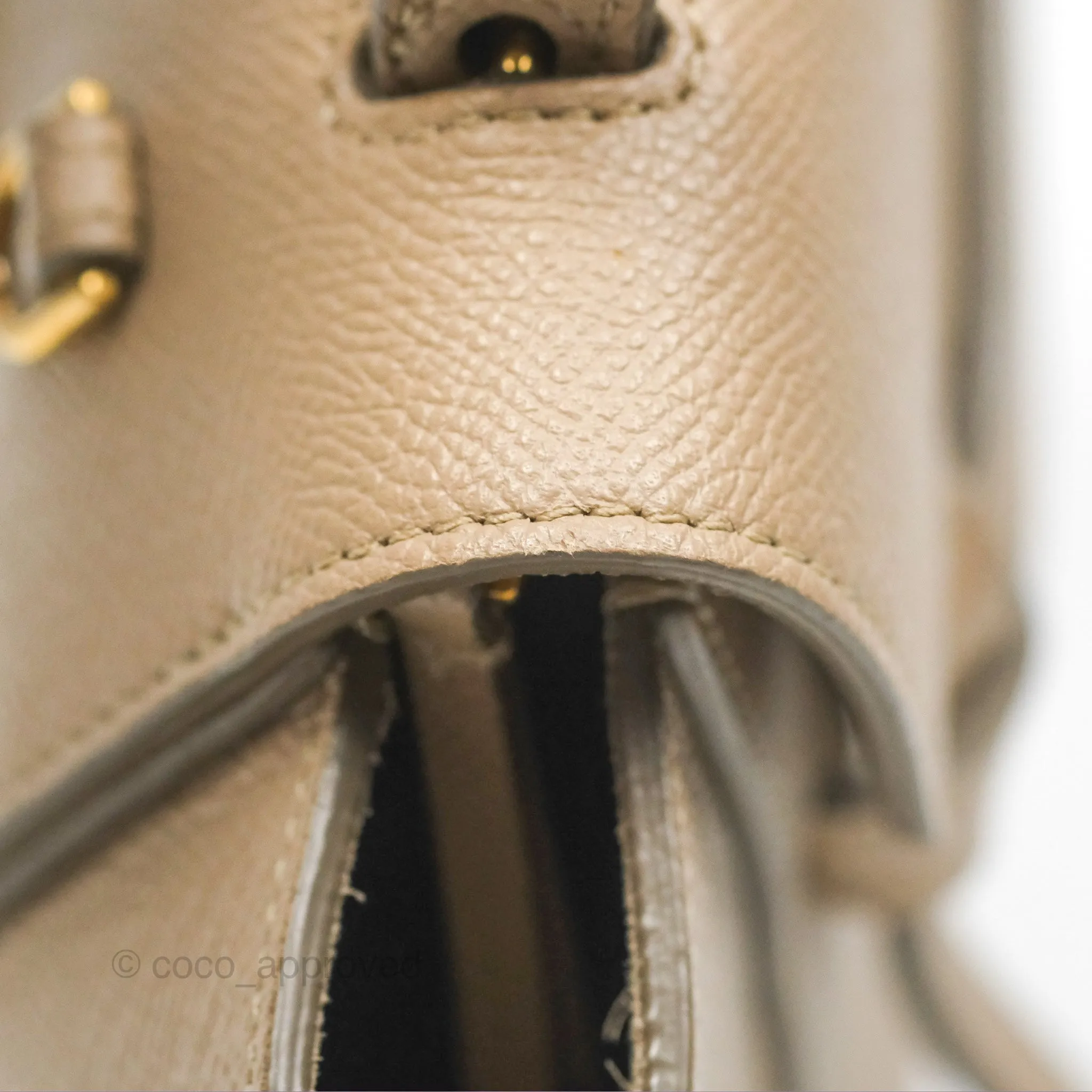 Celine Nano Belt Bag Light Taupe Grained Calfskin Gold Hardware