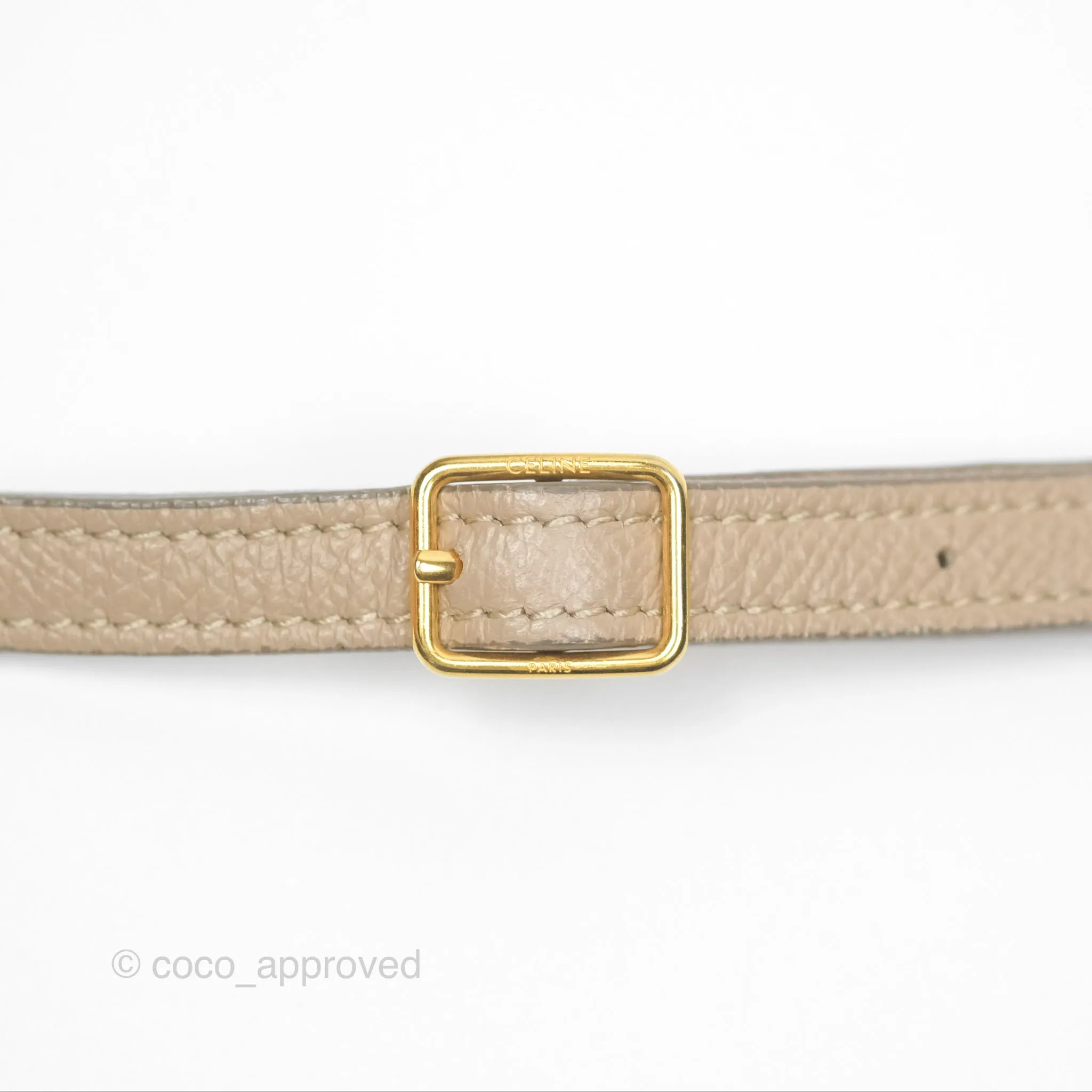 Celine Nano Belt Bag Light Taupe Grained Calfskin Gold Hardware
