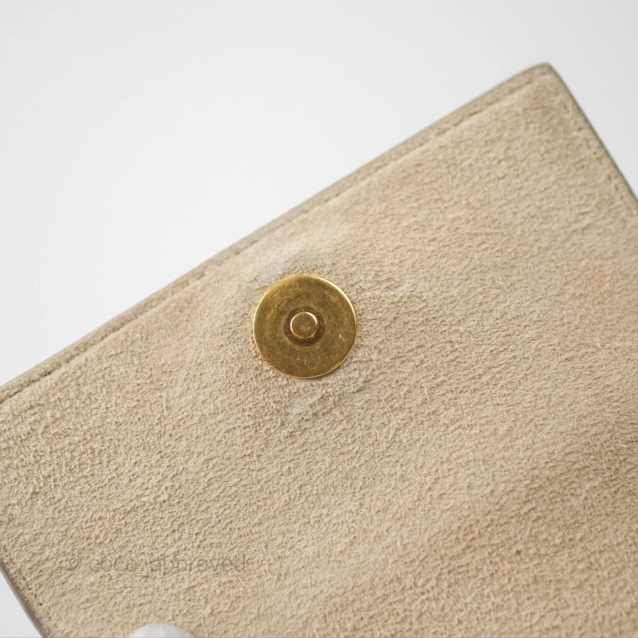 Celine Nano Belt Bag Light Taupe Grained Calfskin Gold Hardware