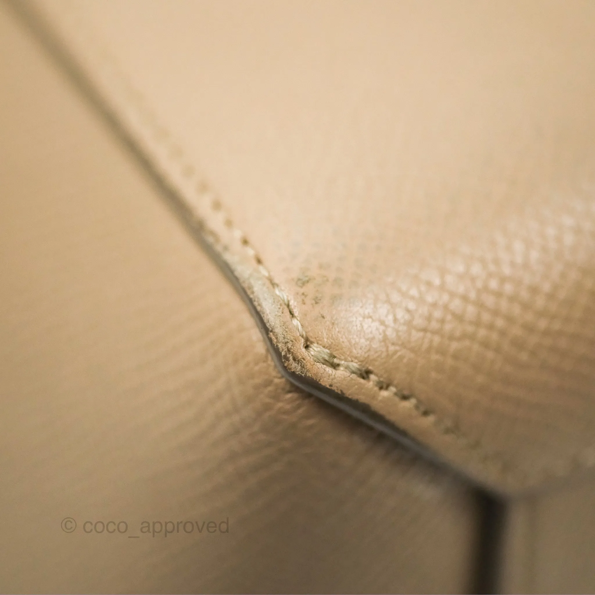 Celine Nano Belt Bag Light Taupe Grained Calfskin Gold Hardware