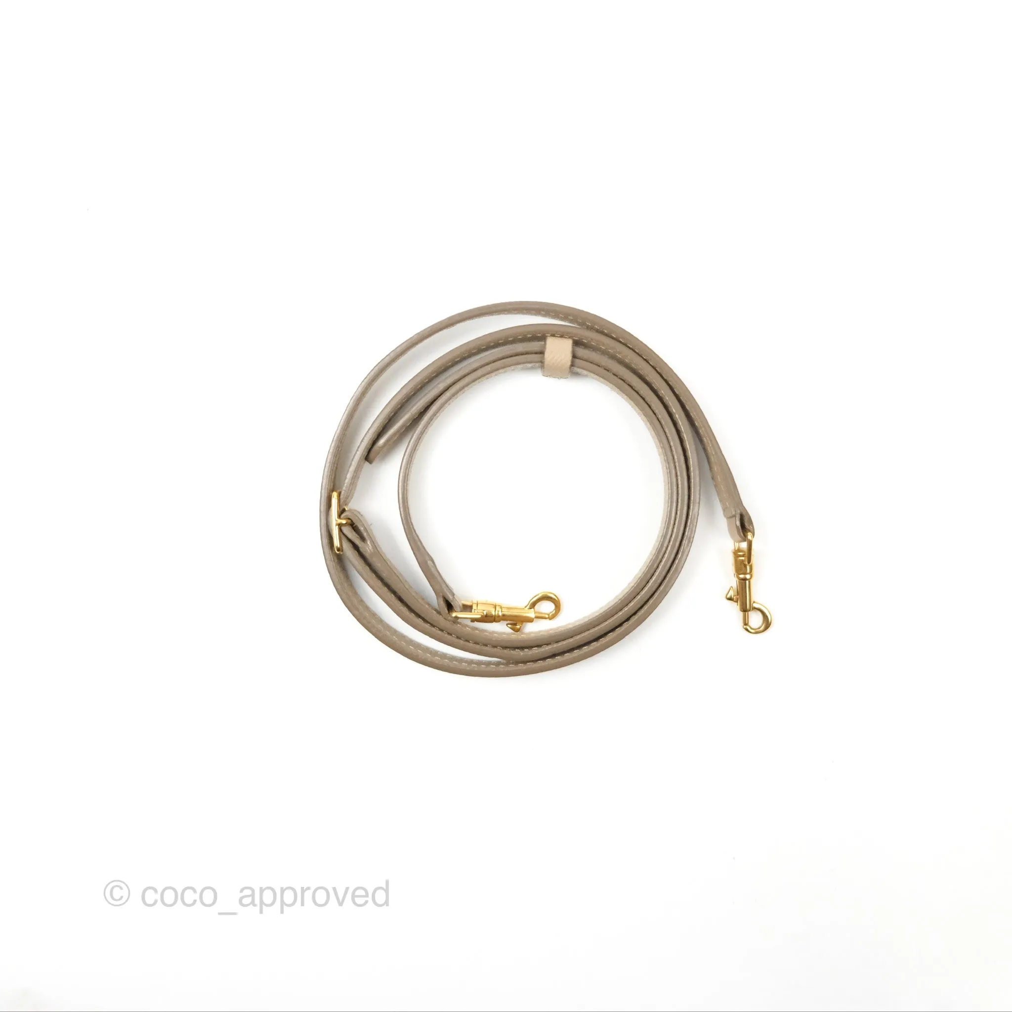 Celine Nano Belt Bag Light Taupe Grained Calfskin Gold Hardware
