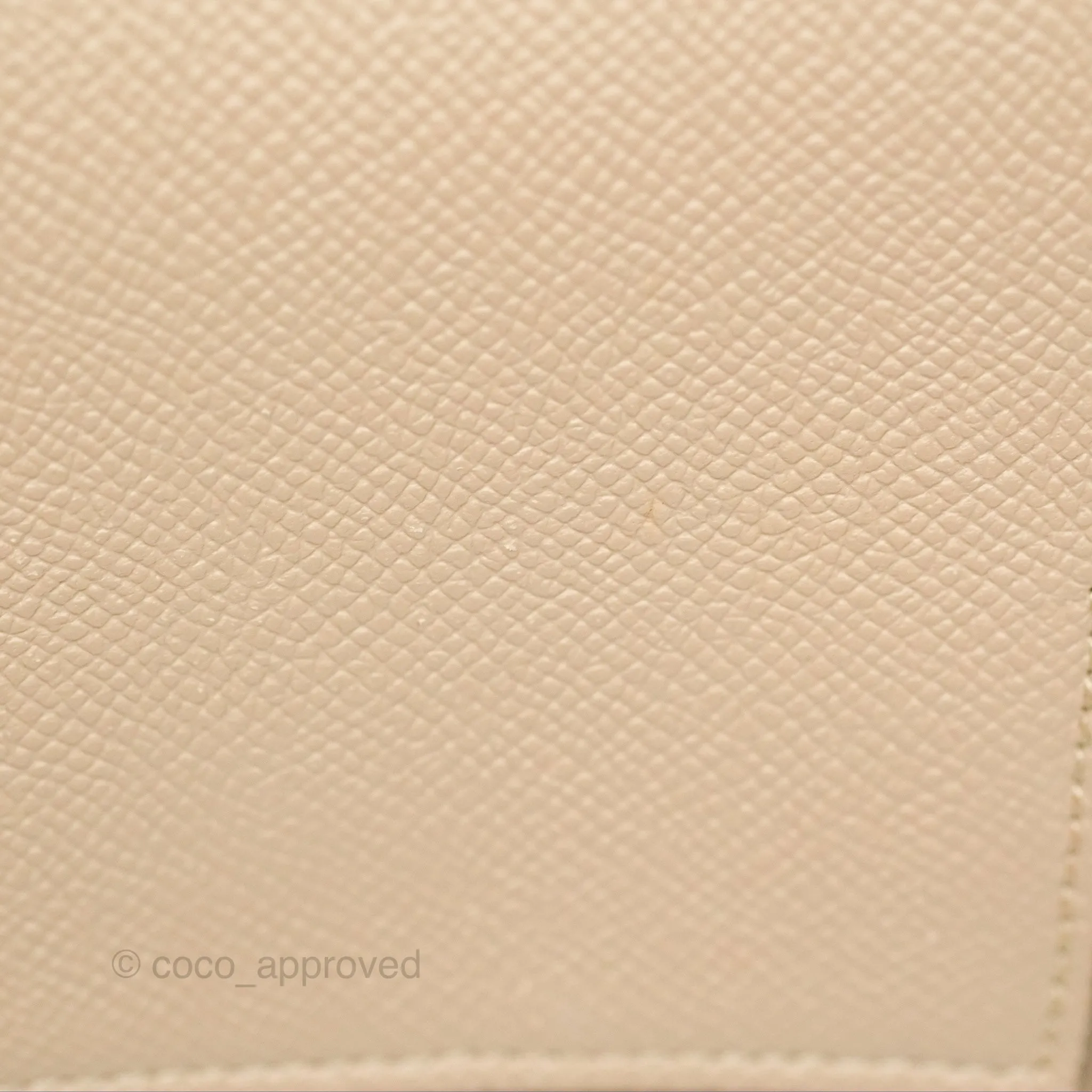 Celine Nano Belt Bag Light Taupe Grained Calfskin Gold Hardware