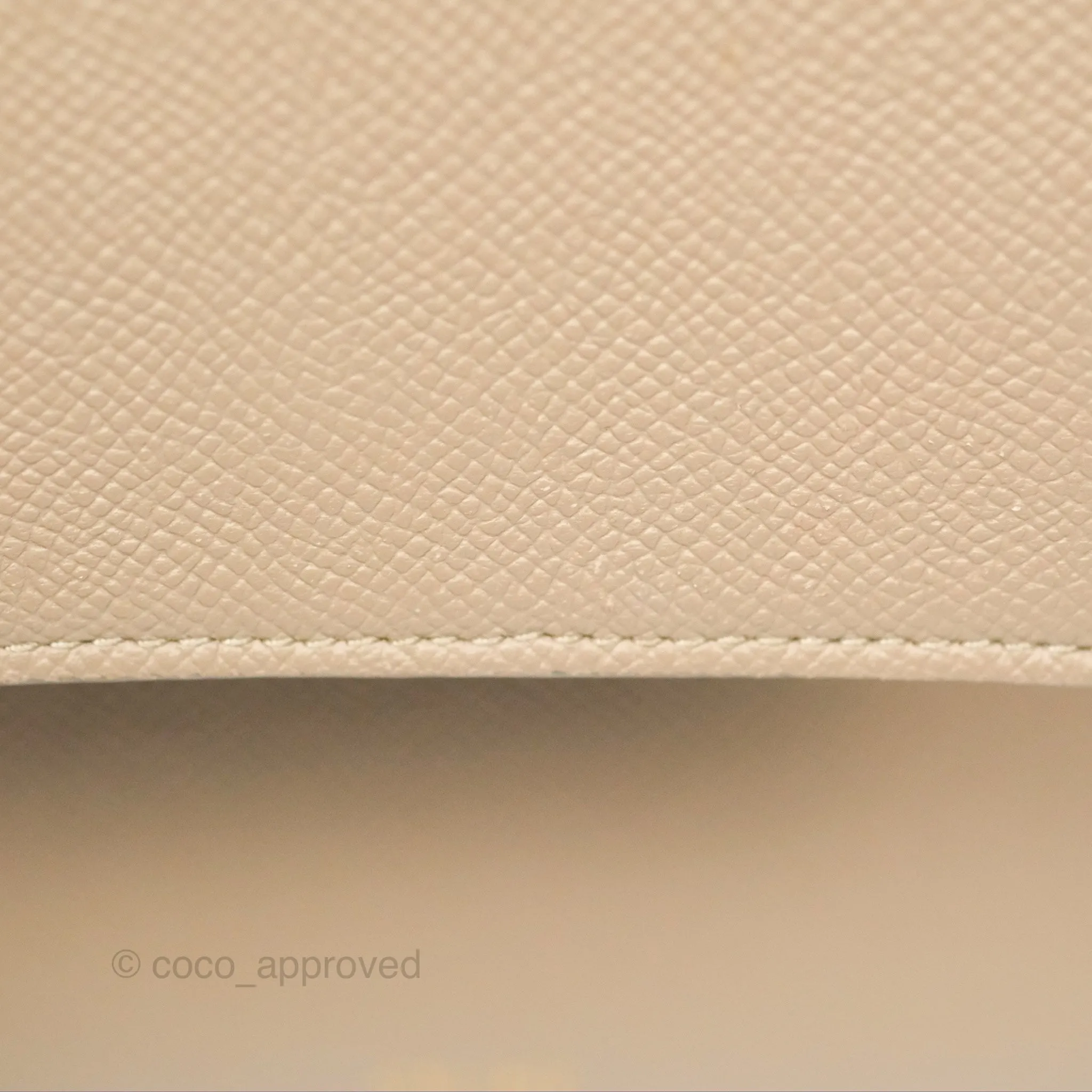 Celine Nano Belt Bag Light Taupe Grained Calfskin Gold Hardware