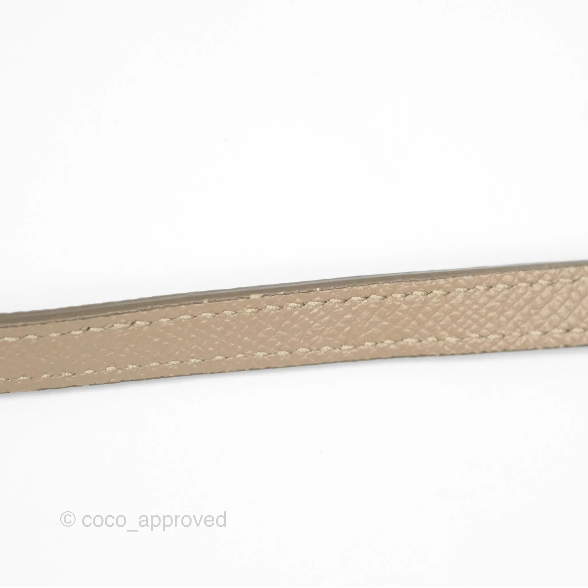 Celine Nano Belt Bag Light Taupe Grained Calfskin Gold Hardware