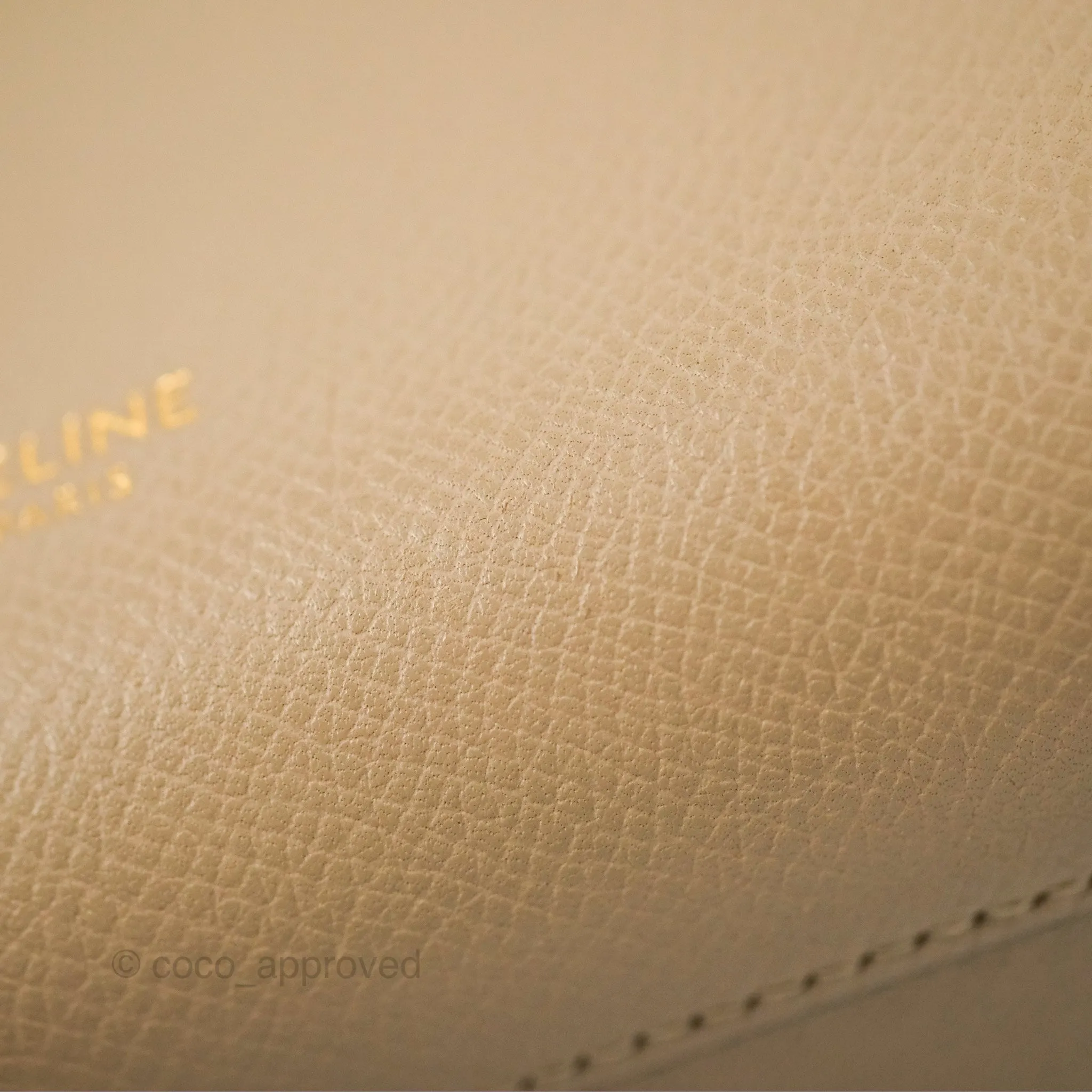Celine Nano Belt Bag Light Taupe Grained Calfskin Gold Hardware